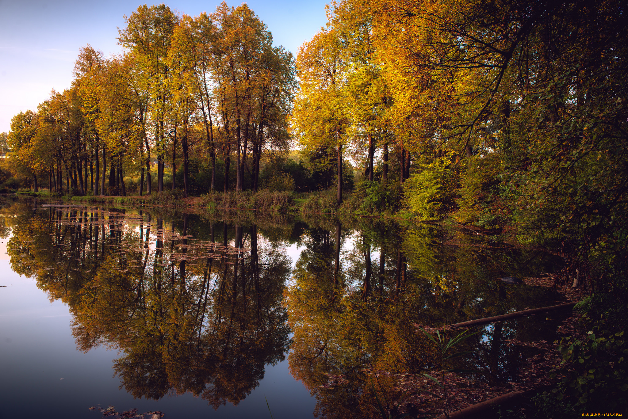 природа, реки, озера, река, лес