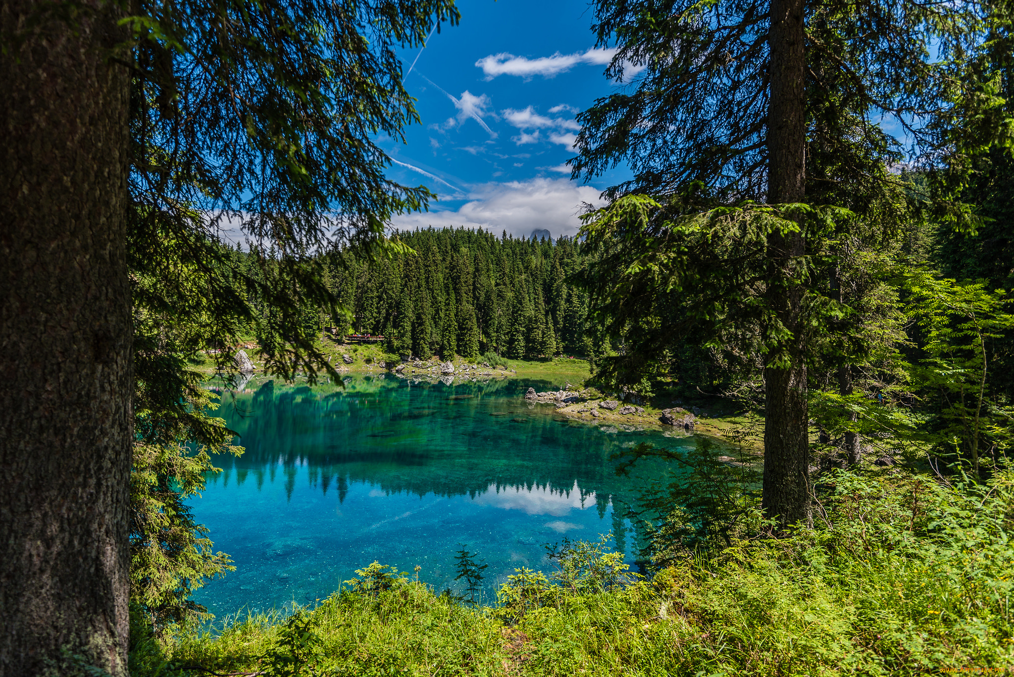 природа, реки, озера, река, лес