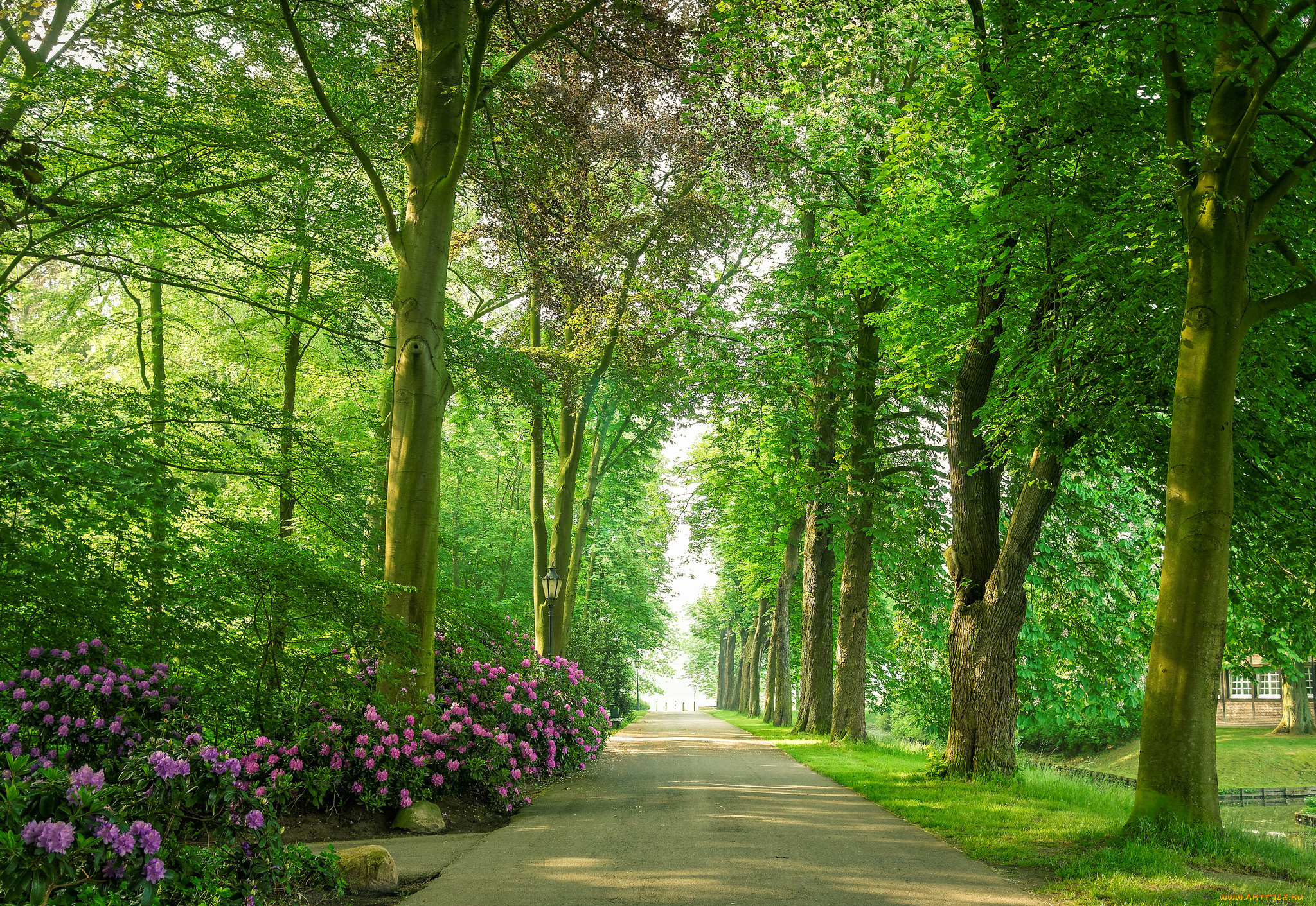 природа, дороги, тракт