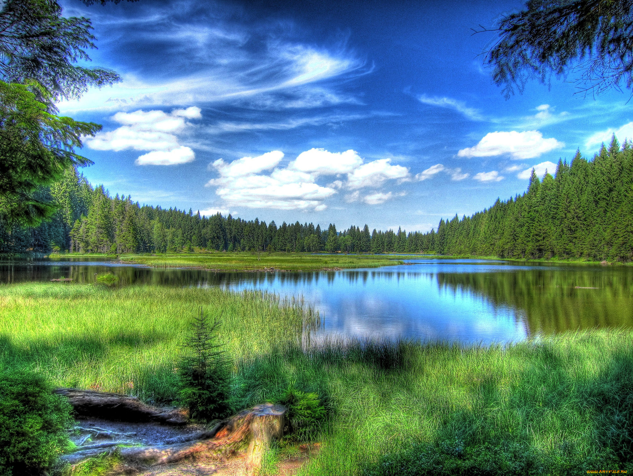 природа, реки, озера, река, лес