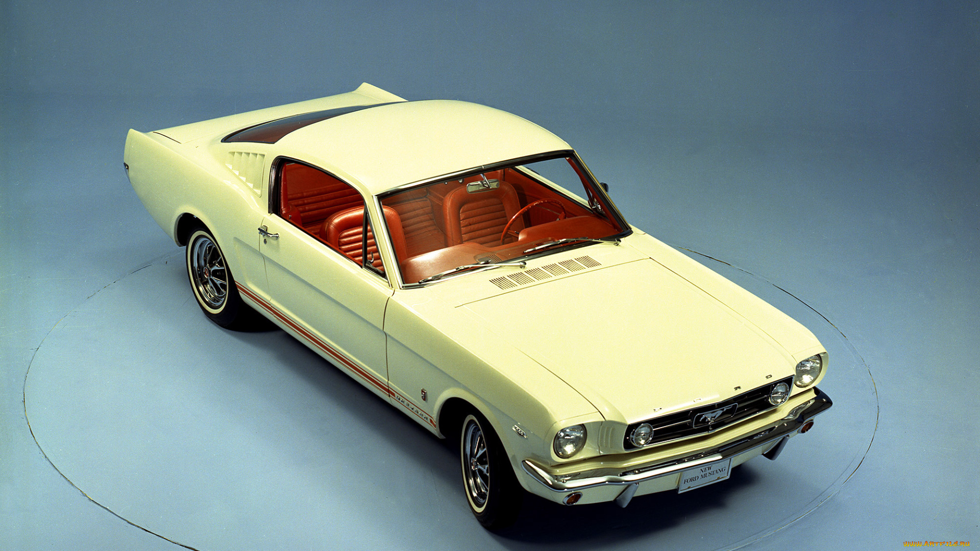 автомобили, mustang