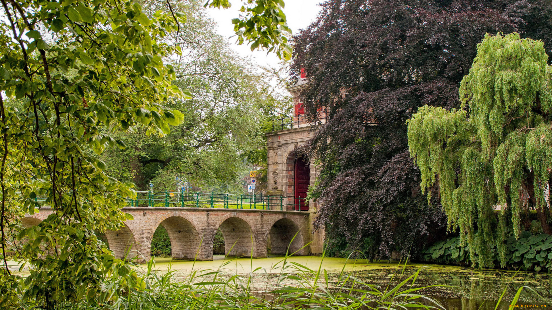 города, -, мосты, мост, река, здание