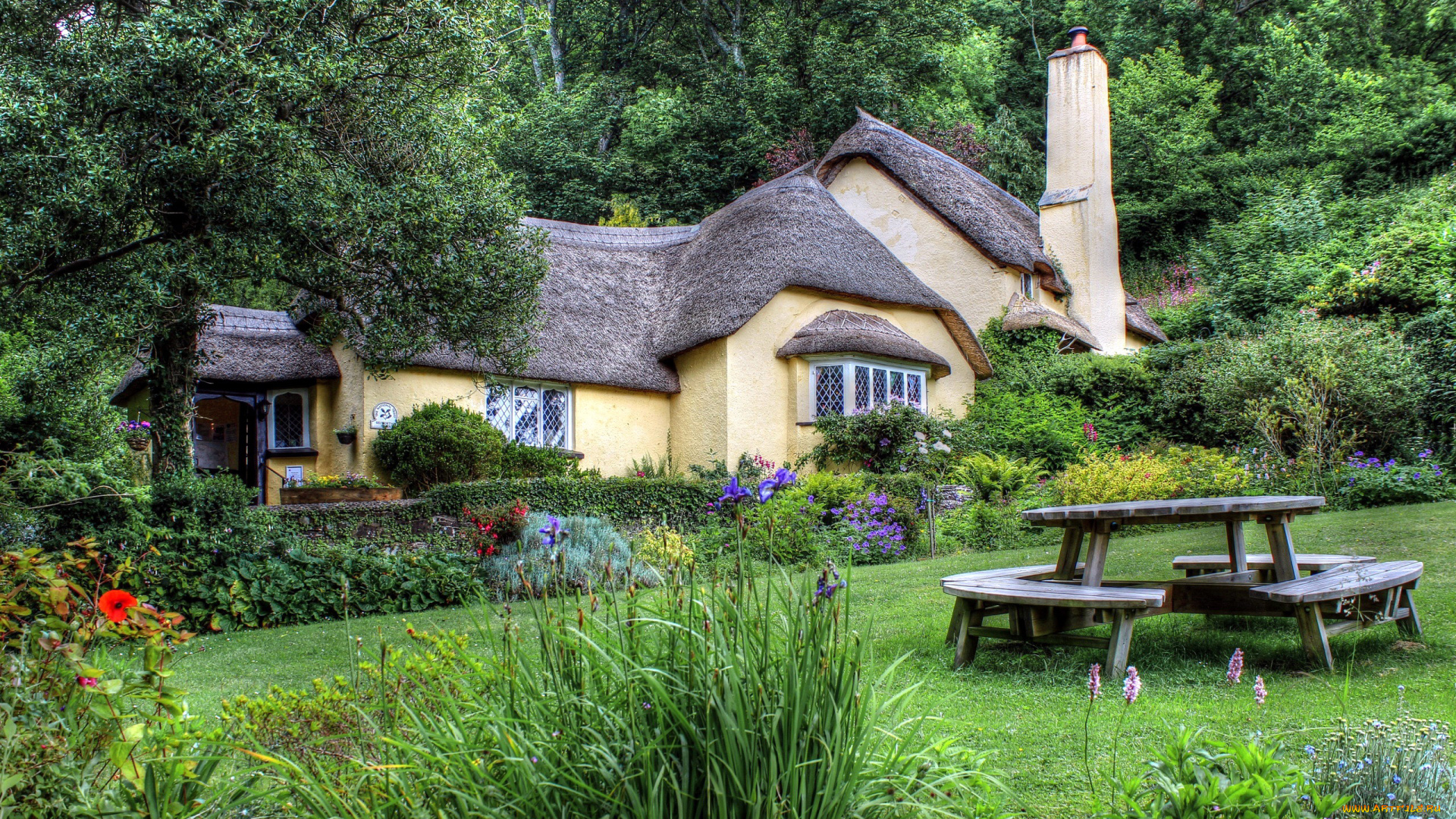 города, -, здания, , дома, цветы, лужайка, коттедж