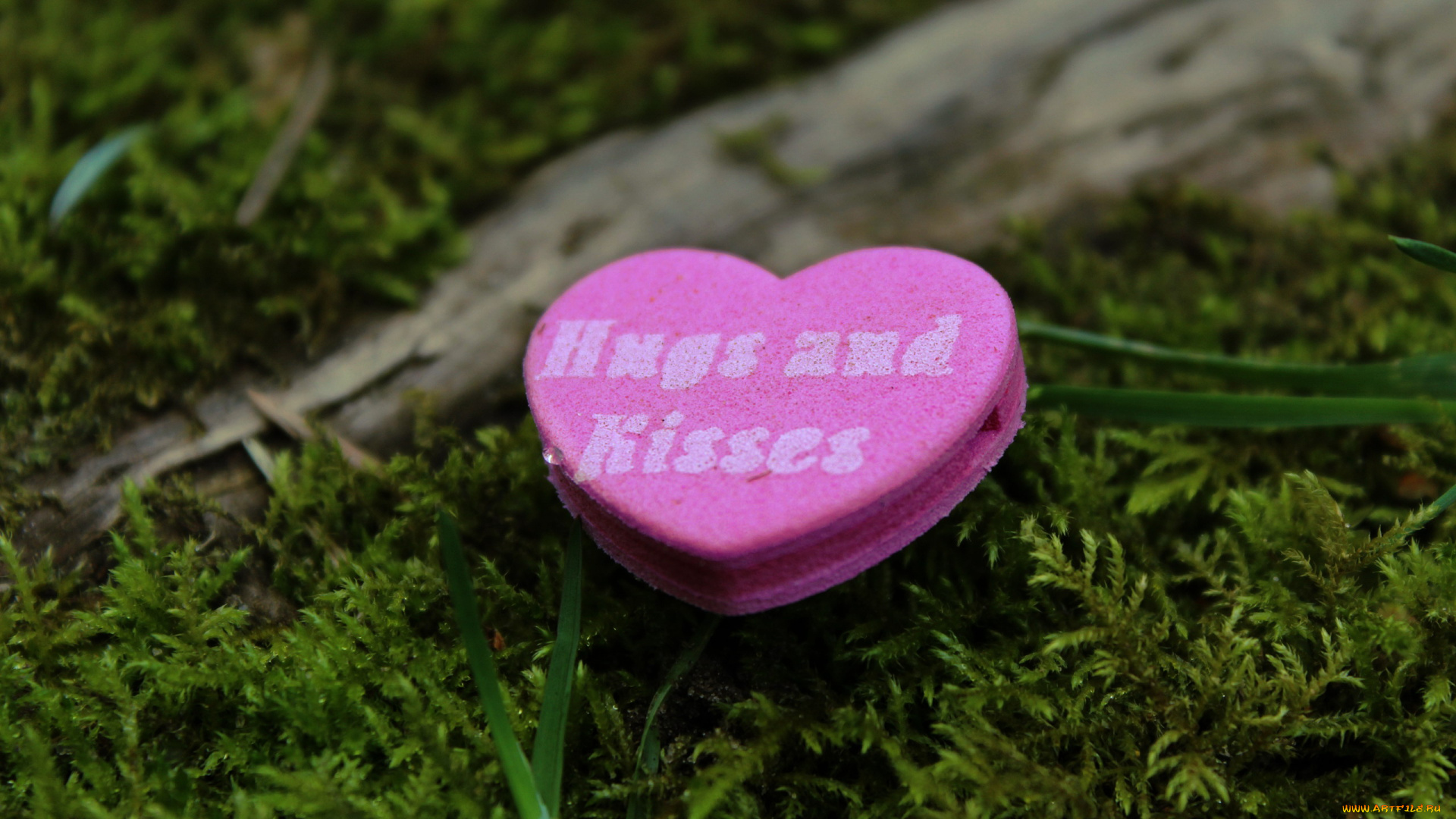 праздничные, день, святого, валентина, , сердечки, , любовь, надпись, сердечко, трава