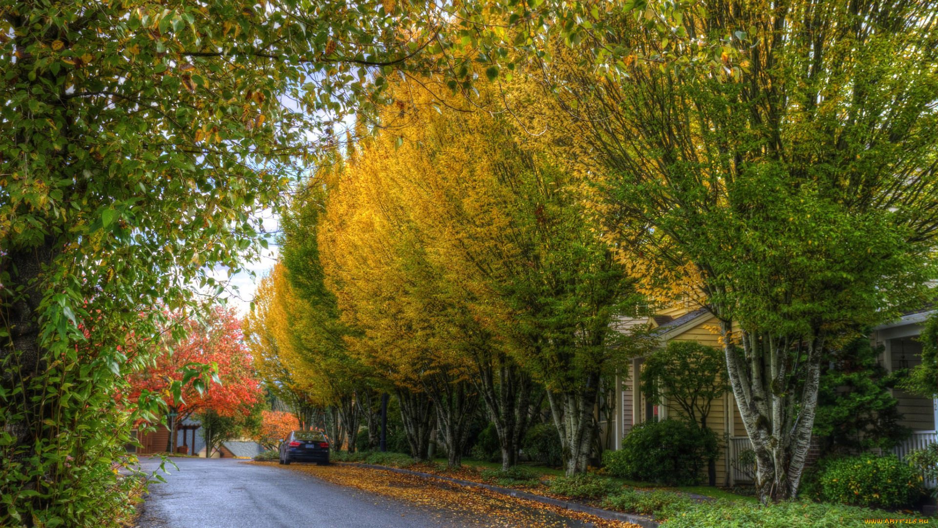 природа, дороги, простор