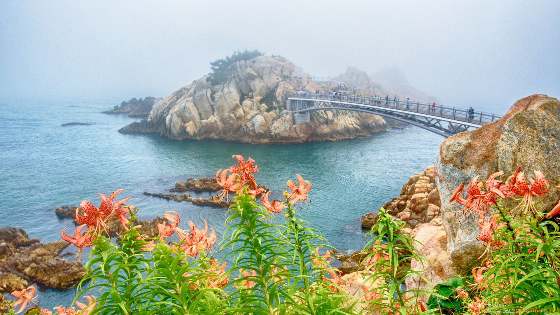 природа, побережье, простор