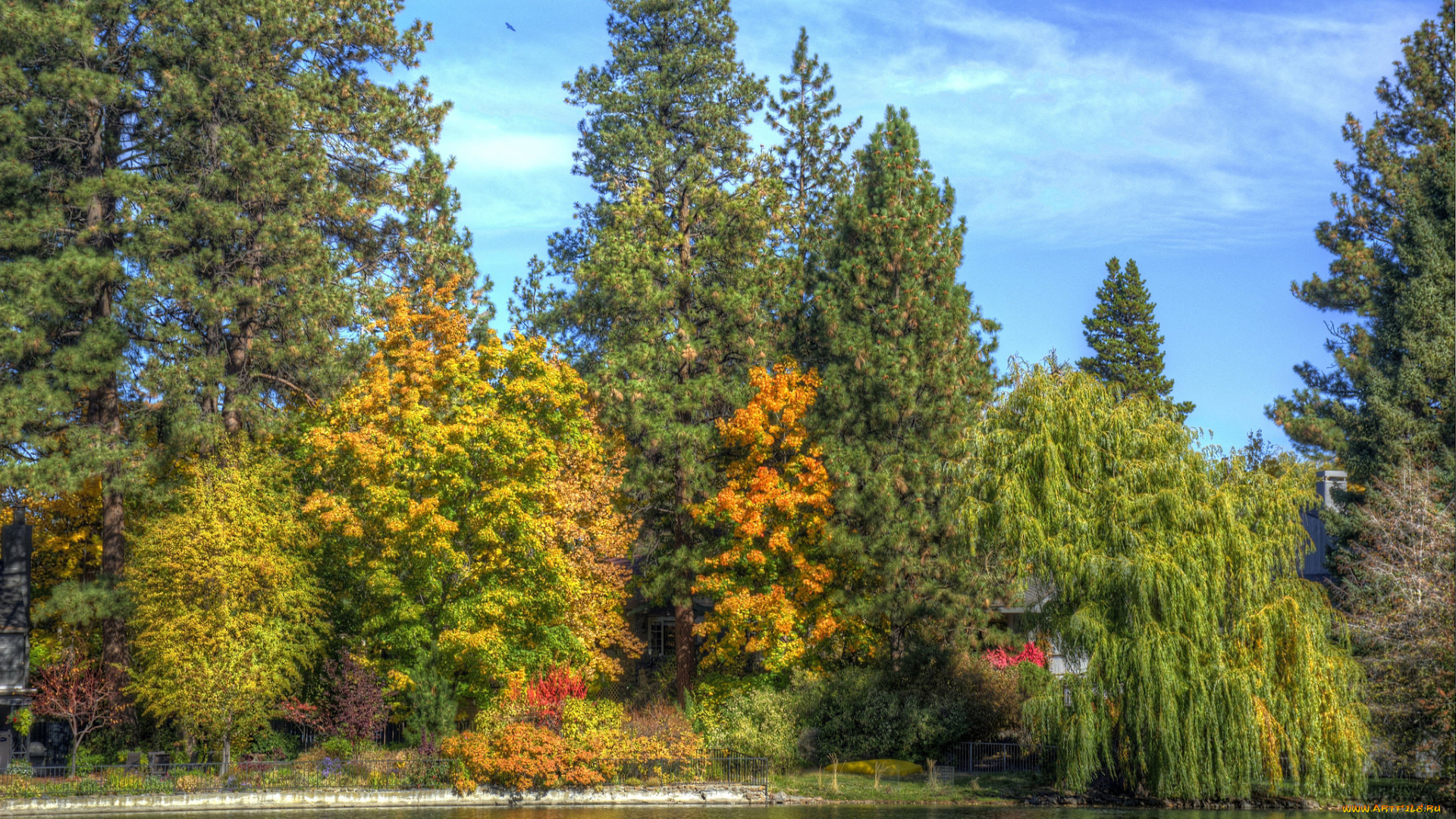 природа, реки, озера, простор