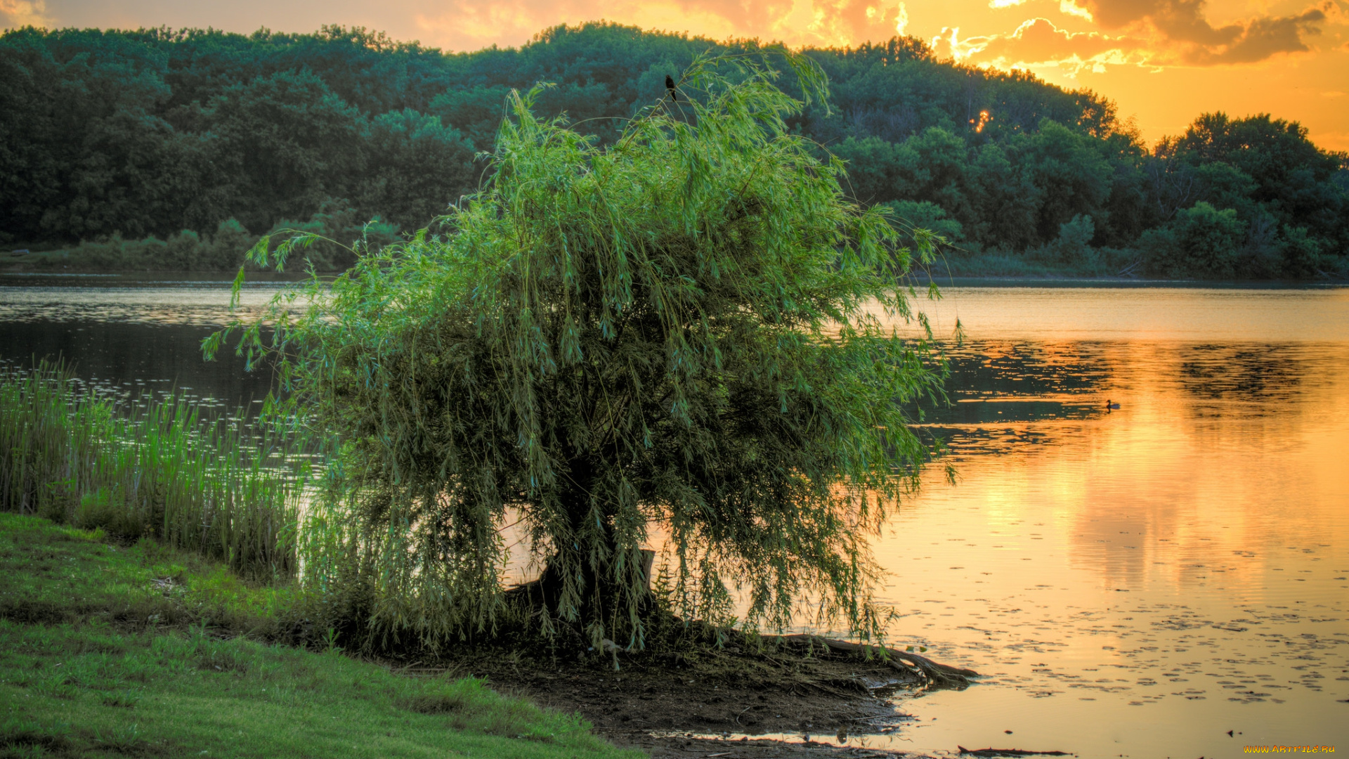 природа, реки, озера, простор