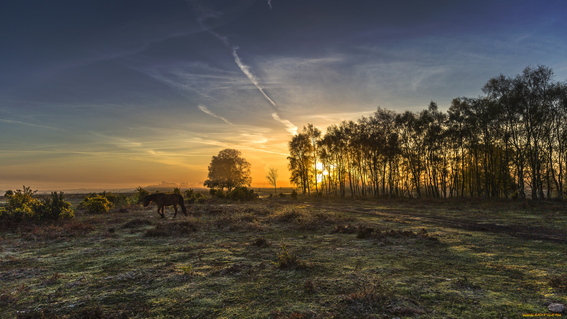 природа, восходы, закаты, простор