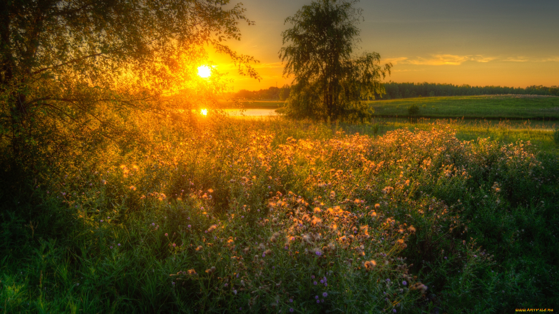 природа, восходы, закаты, простор