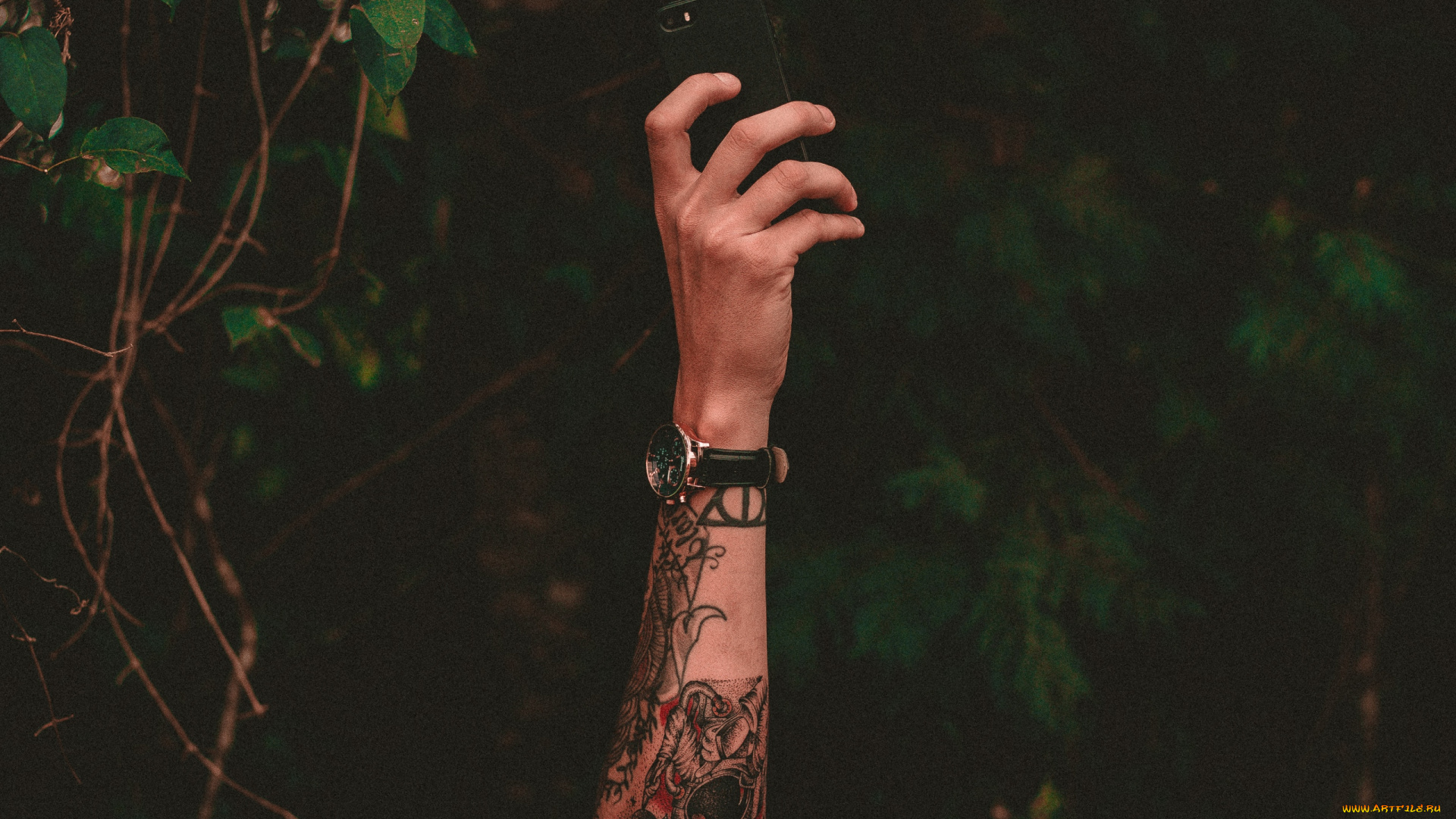 разное, руки, часы, телефон, рука, тату