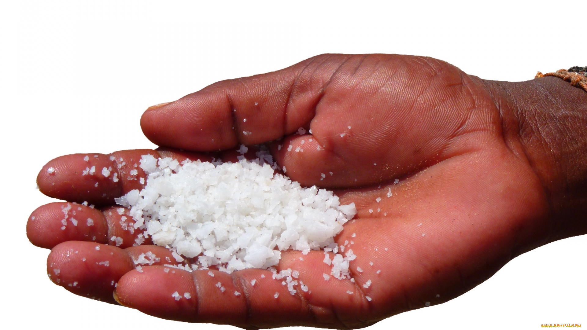 разное, руки, снег, рука