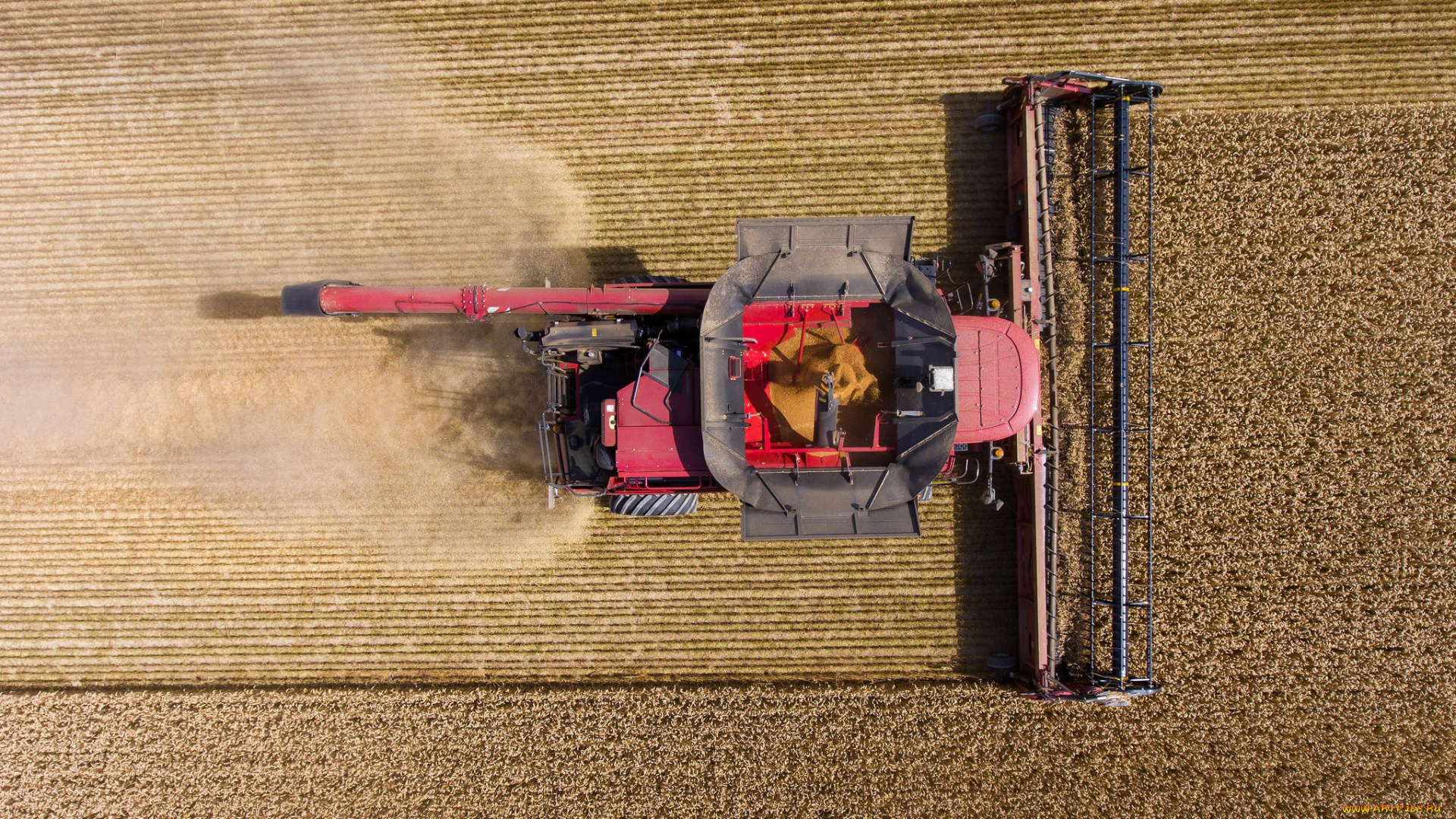 техника, комбайны, уборочная