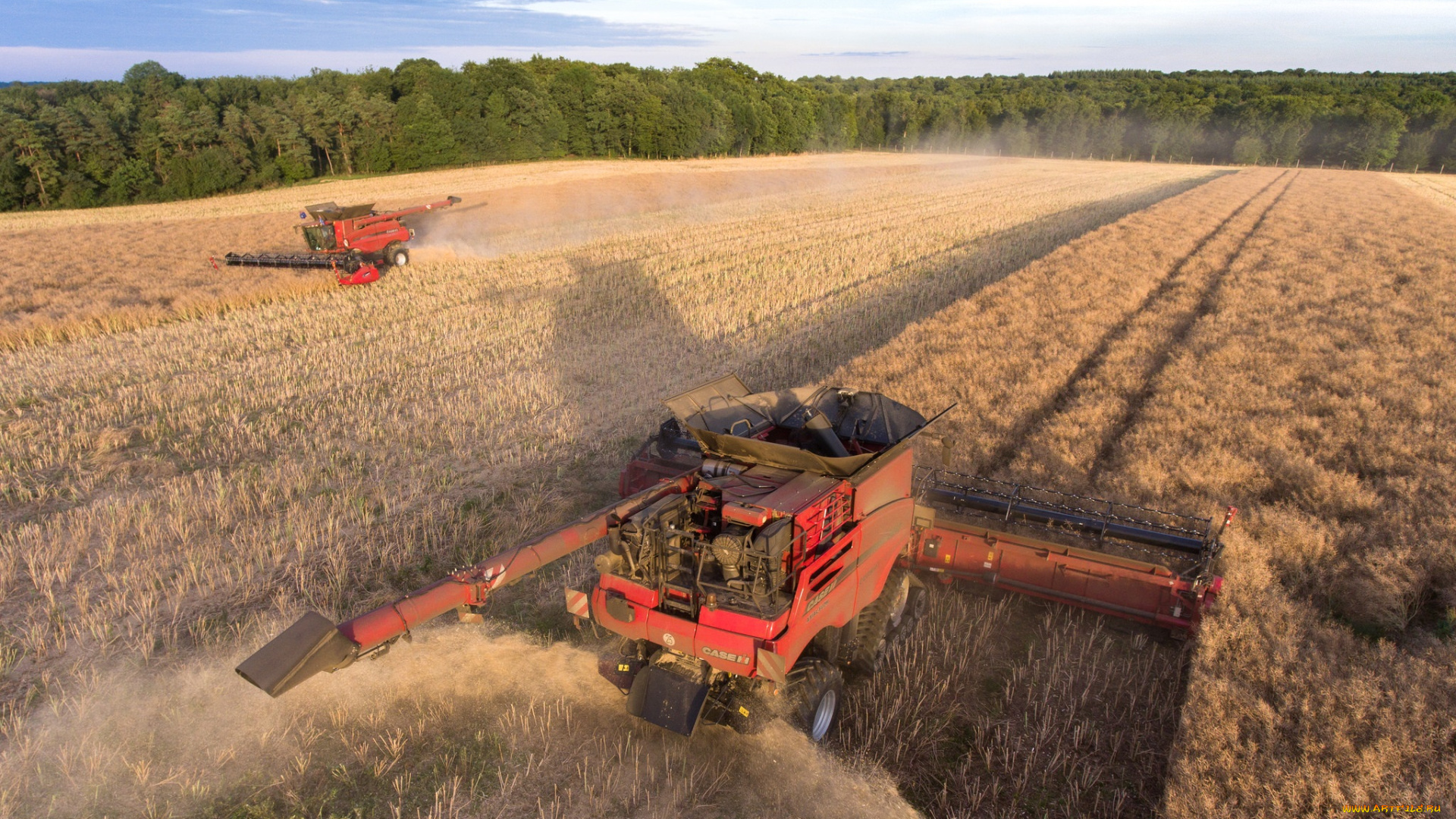 техника, комбайны, уборочная