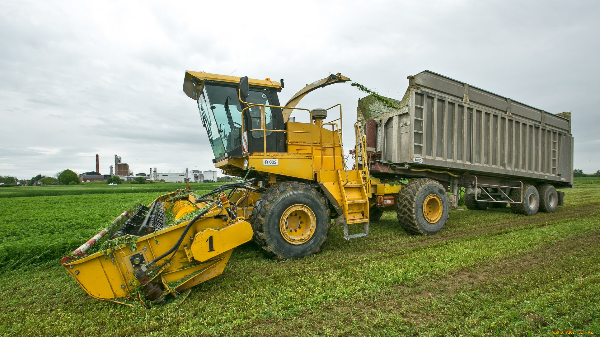 техника, комбайны, уборочная
