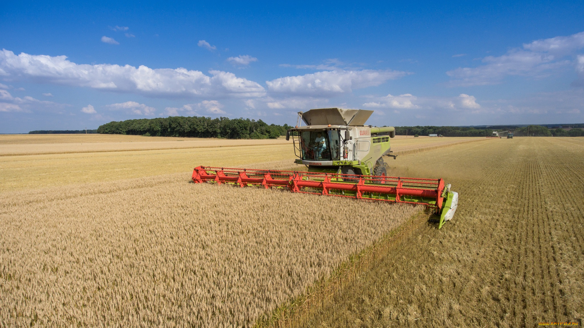 техника, комбайны, уборочная