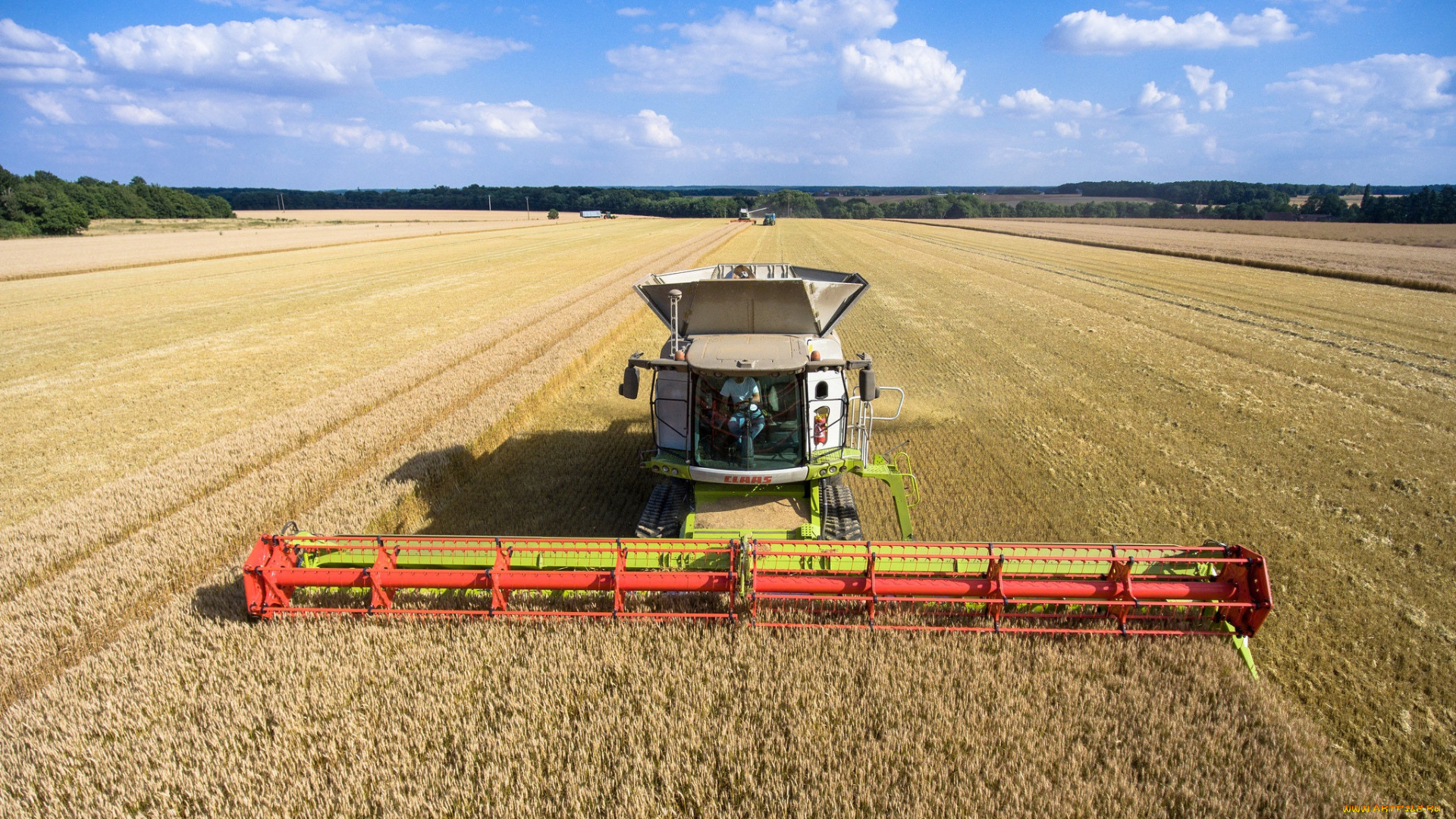 техника, комбайны, уборочная