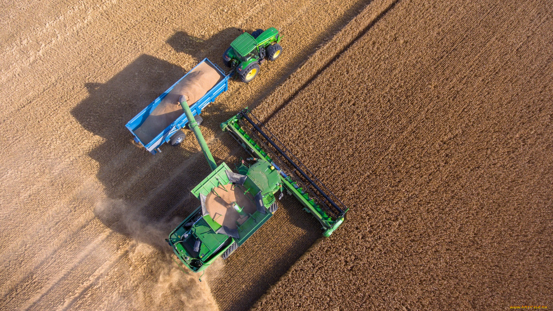 техника, комбайны, уборочная