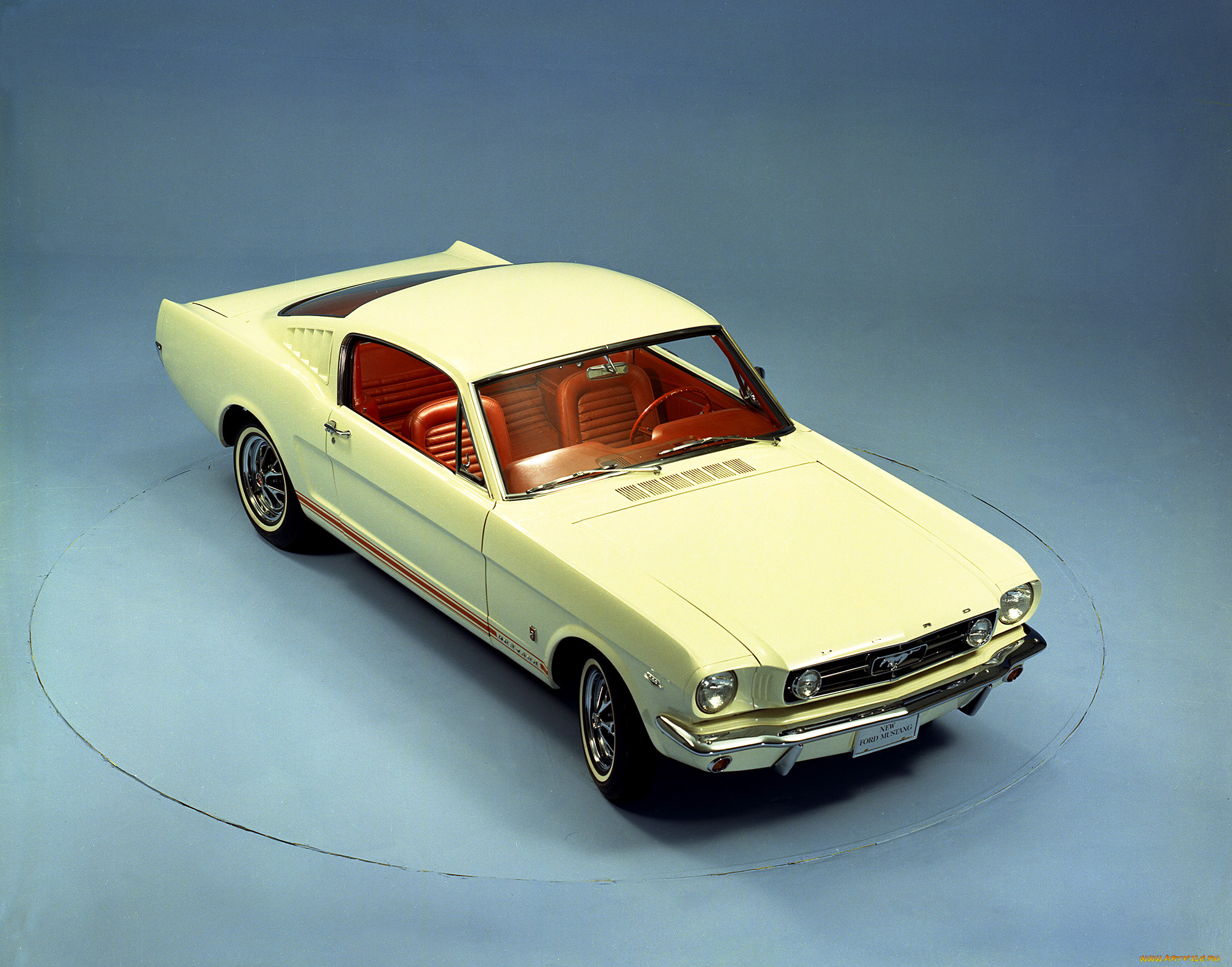 автомобили, mustang