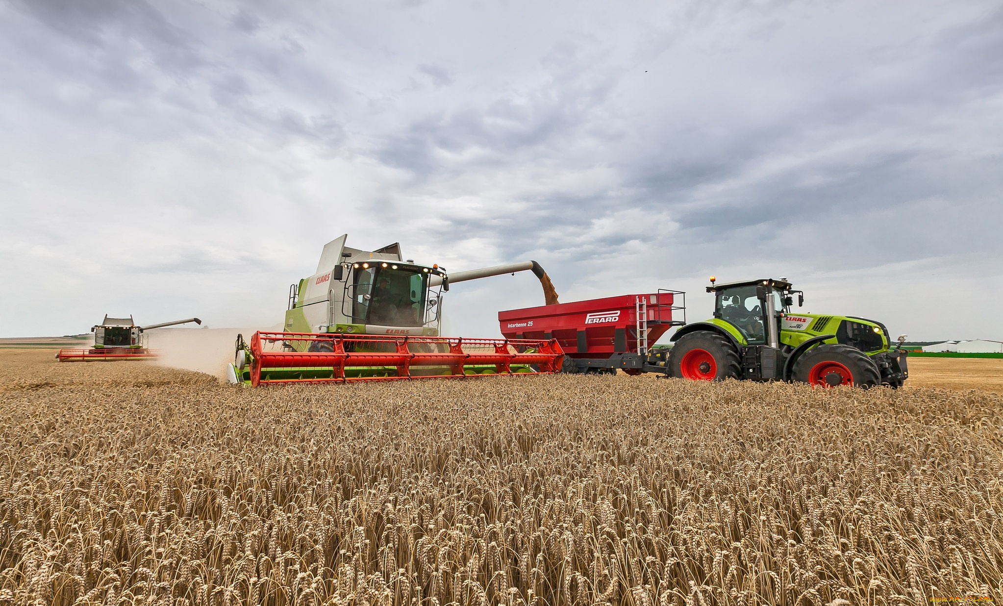 техника, комбайны, уборочная