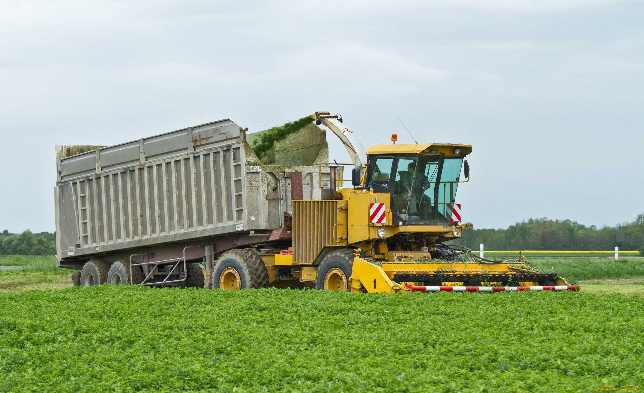 техника, комбайны, уборочная