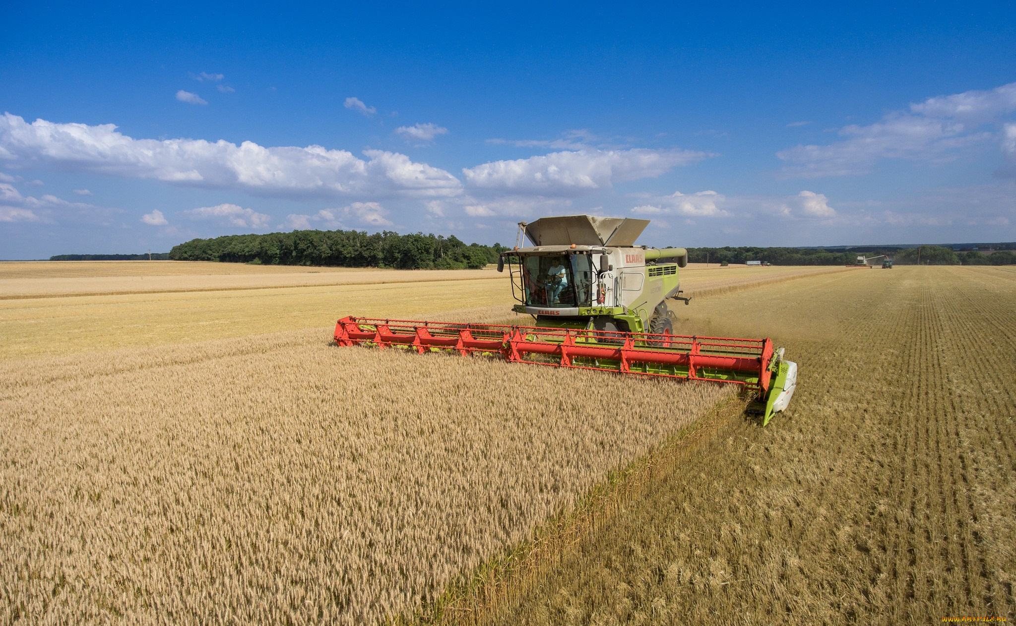техника, комбайны, уборочная