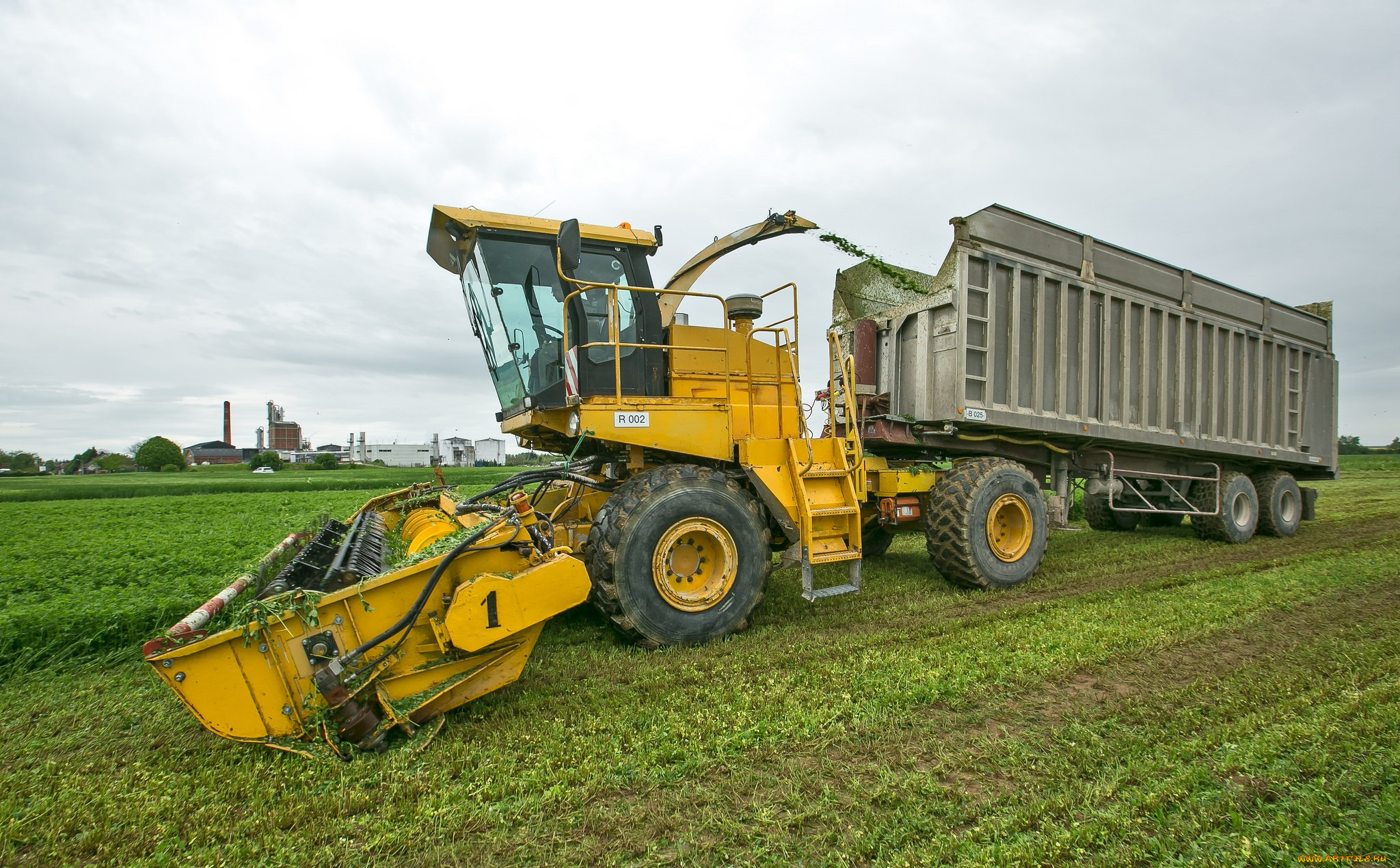 техника, комбайны, уборочная