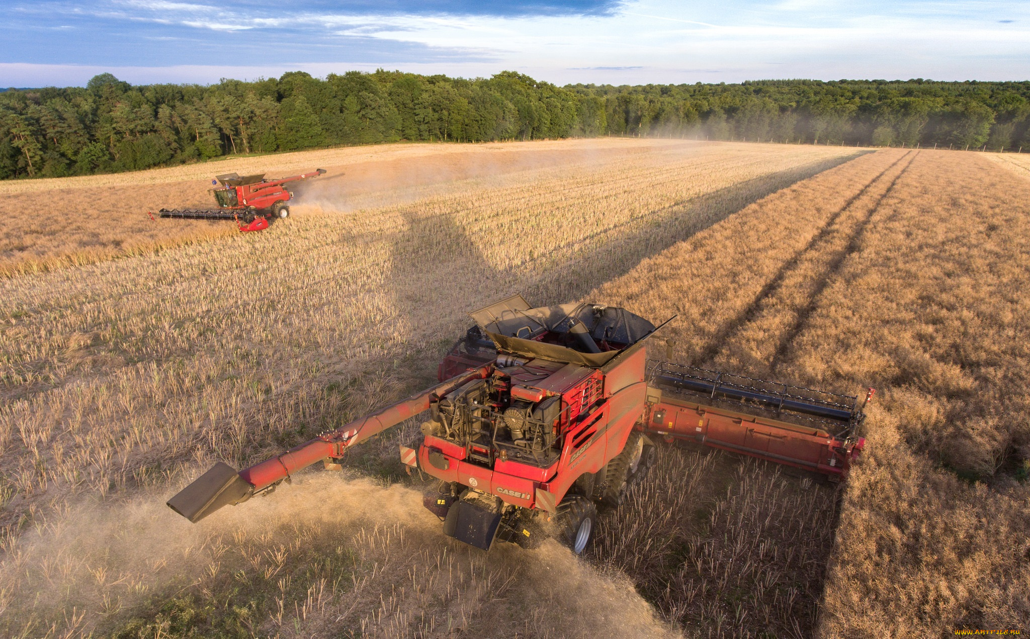 техника, комбайны, уборочная