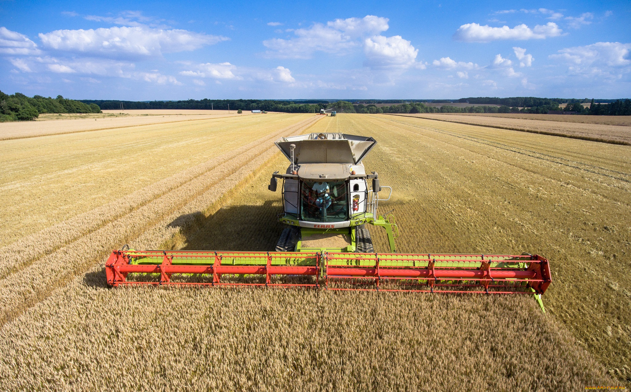 техника, комбайны, уборочная