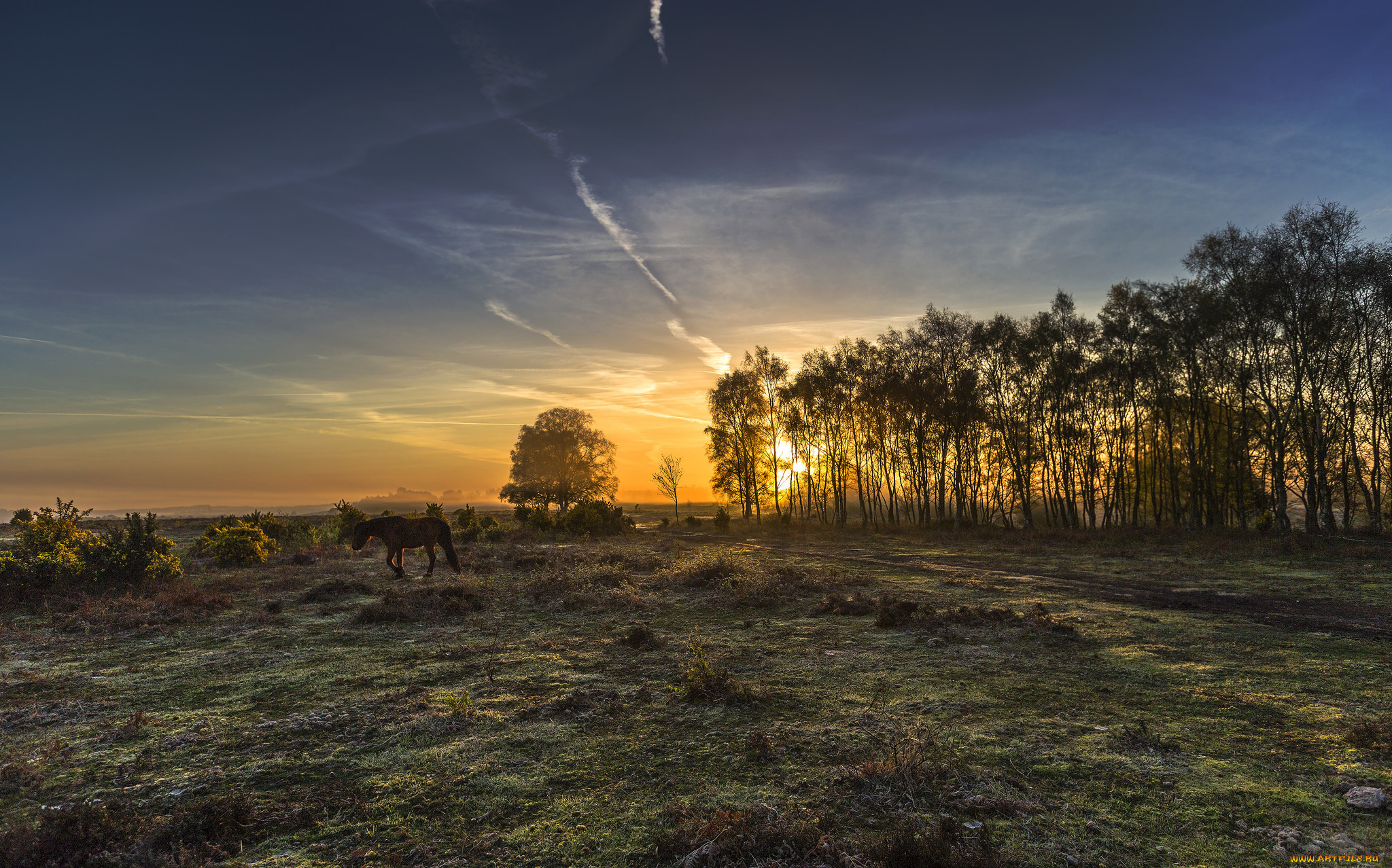 природа, восходы, закаты, простор