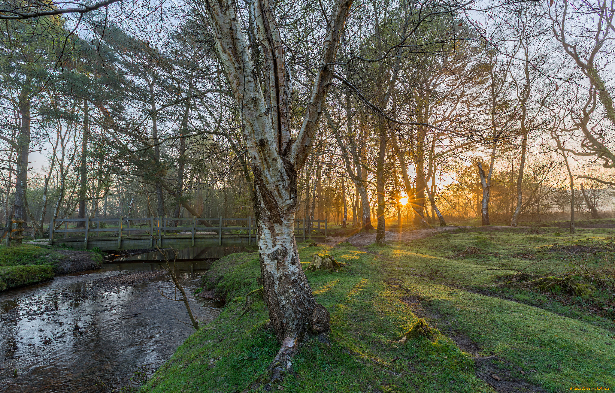 природа, реки, озера, рассвет