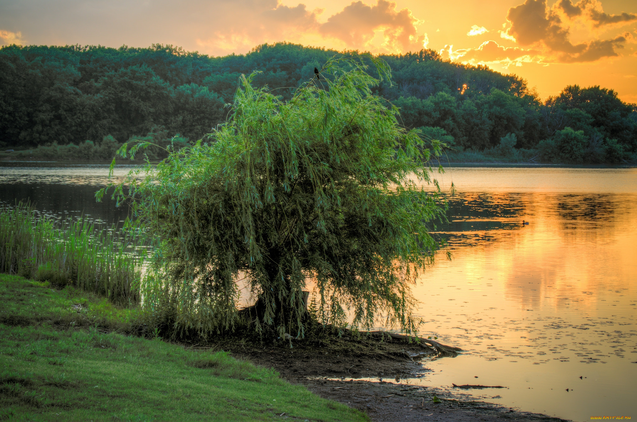 природа, реки, озера, простор