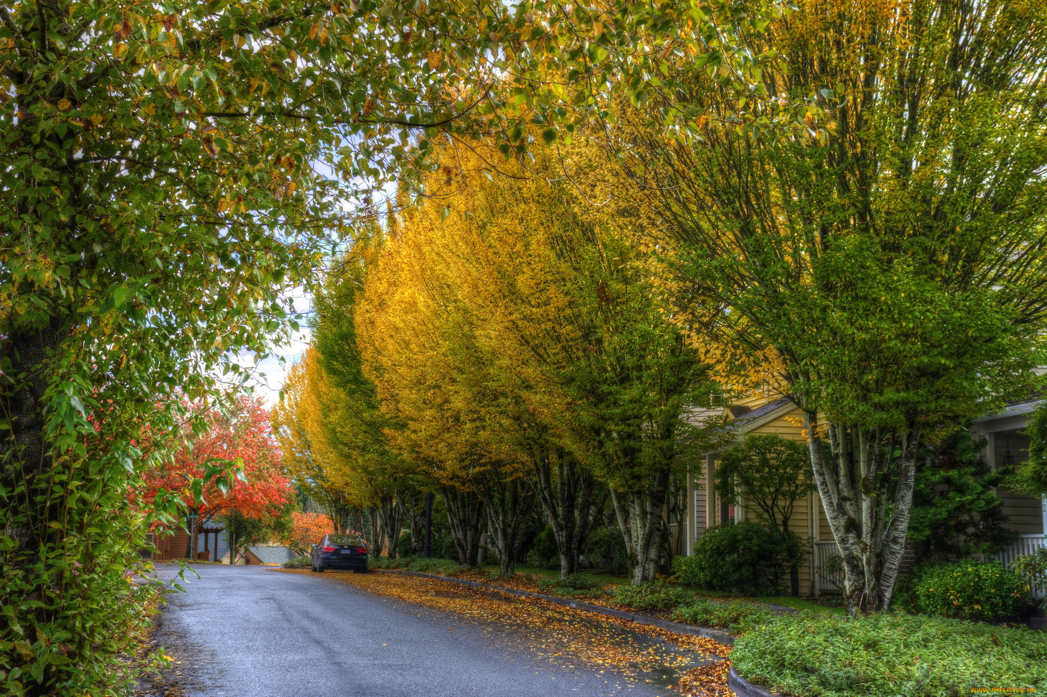 природа, дороги, простор