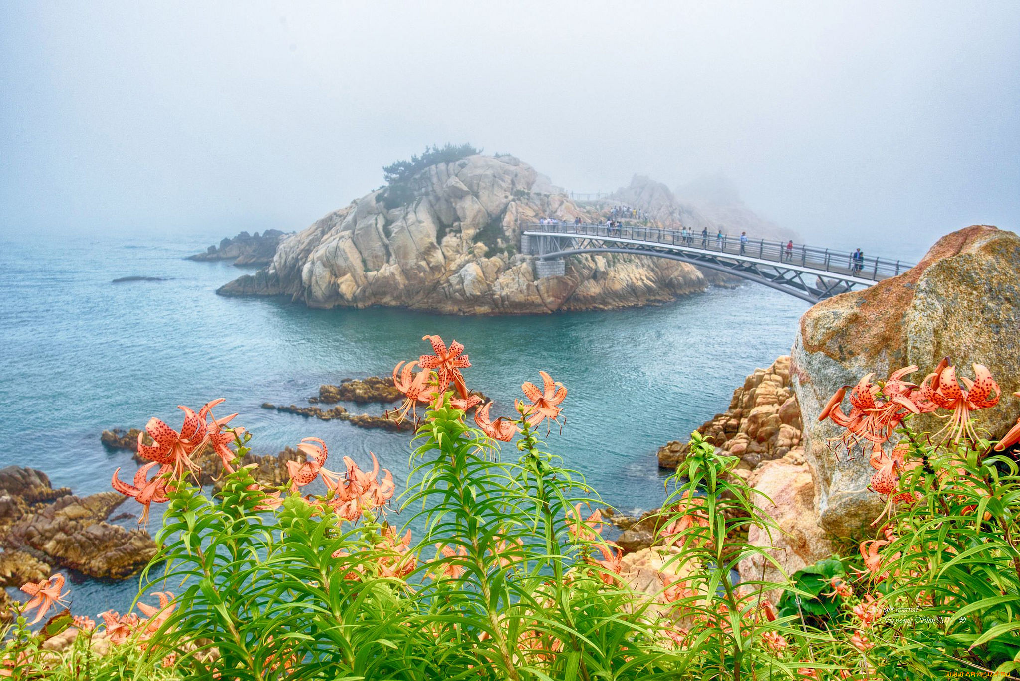 природа, побережье, простор