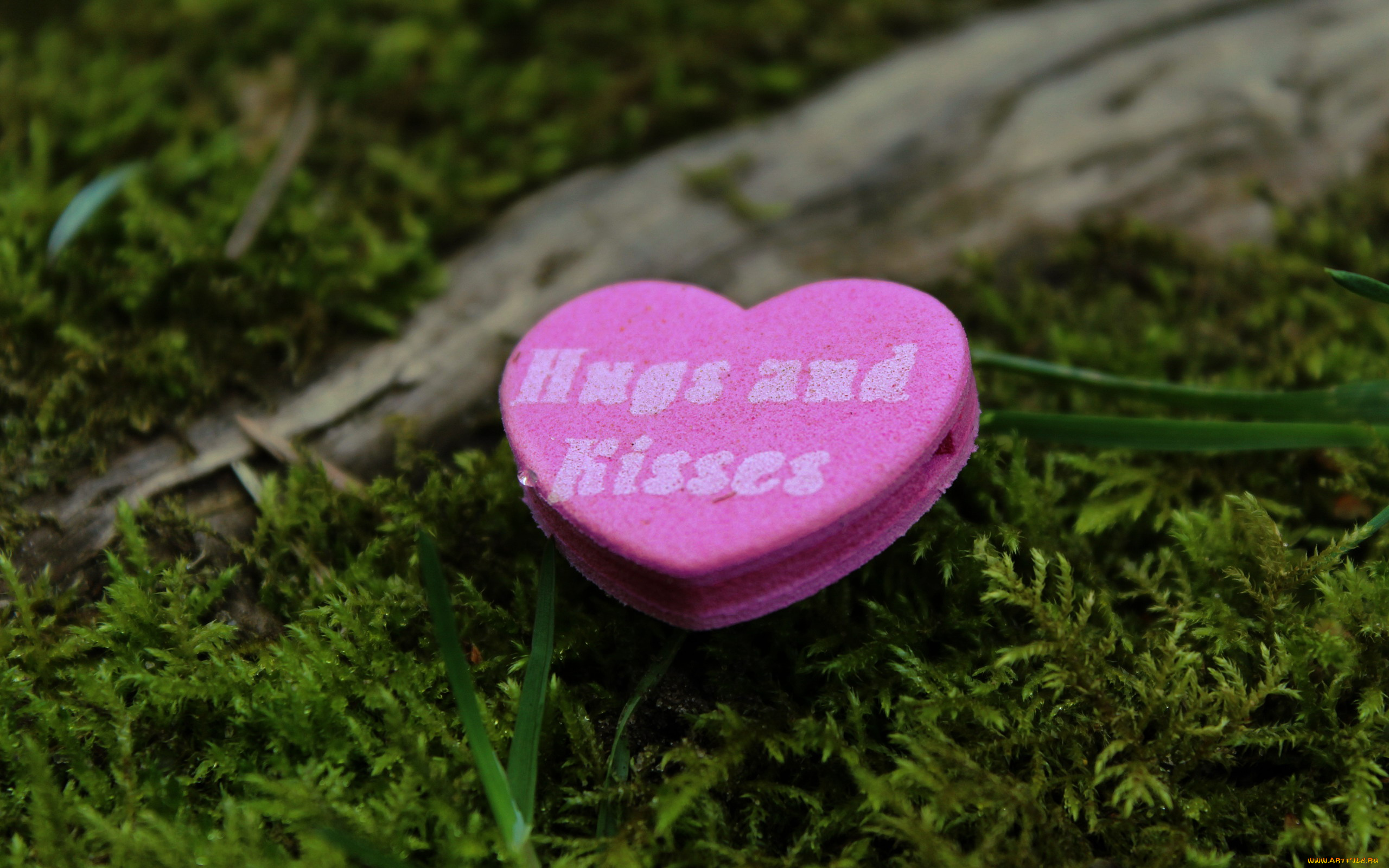 праздничные, день, святого, валентина, , сердечки, , любовь, надпись, сердечко, трава