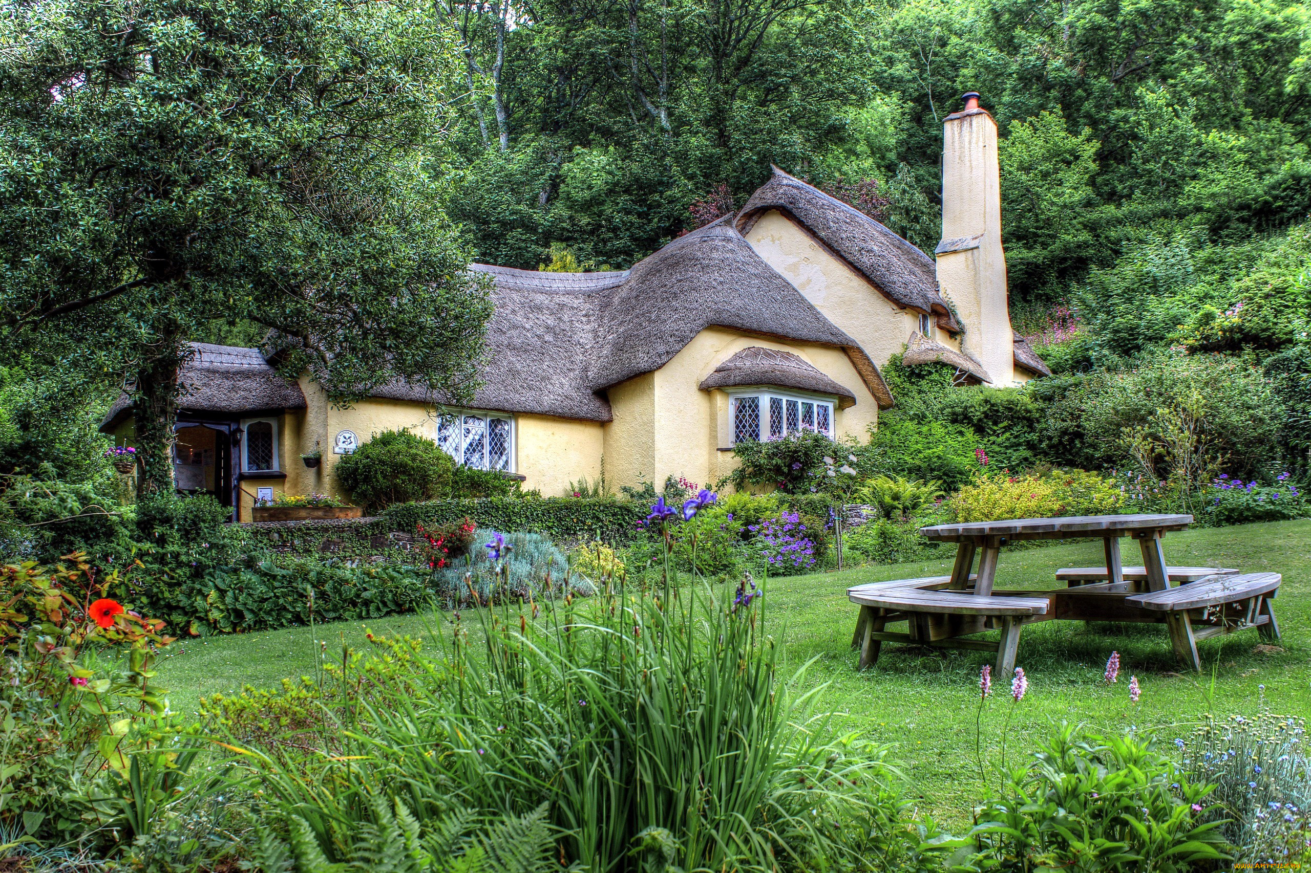 города, -, здания, , дома, цветы, лужайка, коттедж