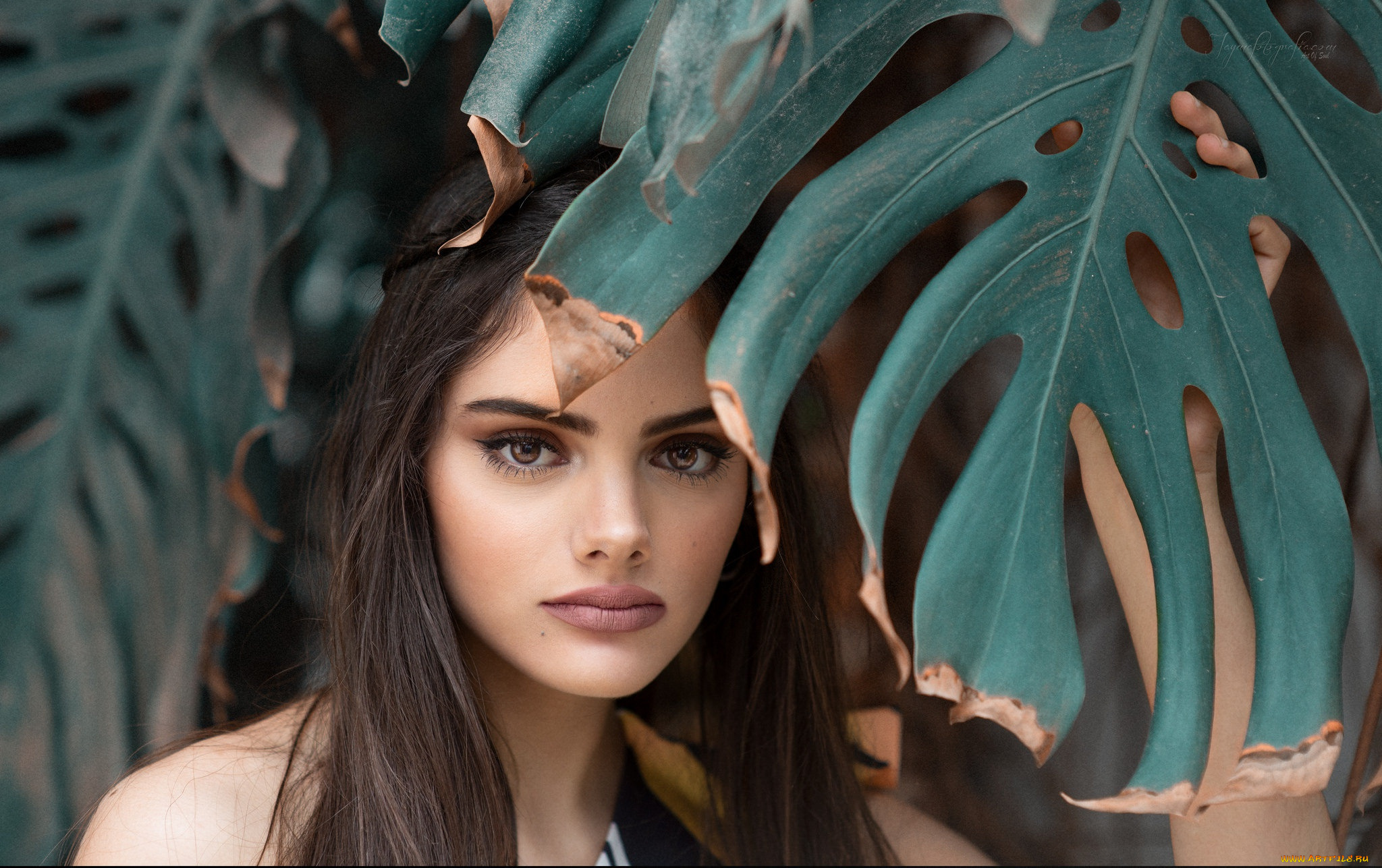 девушка, девушки, -unsort, , лица, , портреты, rosa, ortega, модель