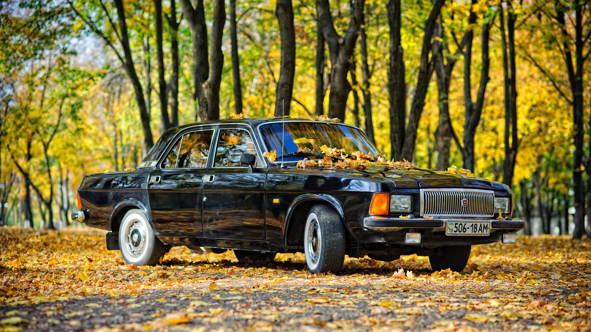 газ-, 3102, волга, автомобили, газ, волга, газ-, 3102, классика, автомобиль, седан, осень, чёрный