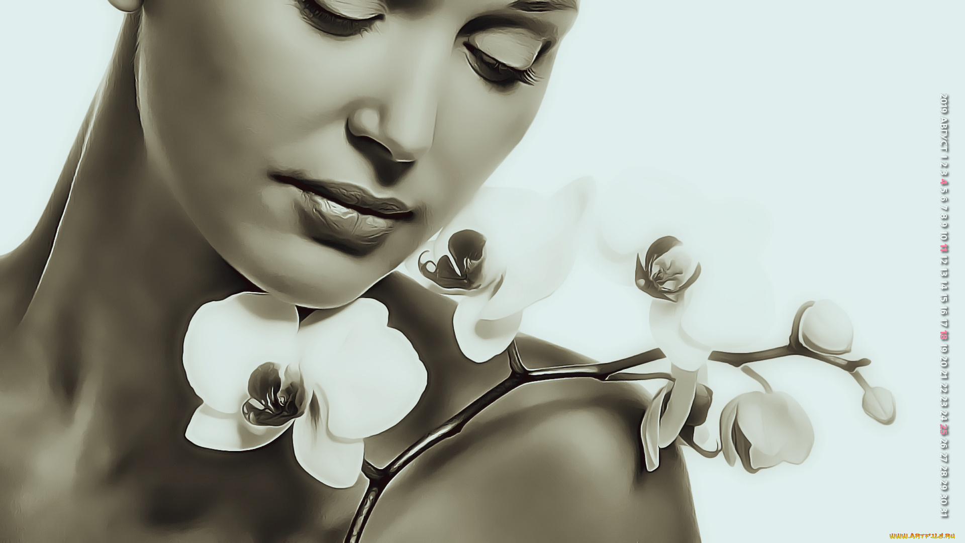 календари, компьютерный, дизайн, цветы, женщина, лицо, девушка, 2019, calendar