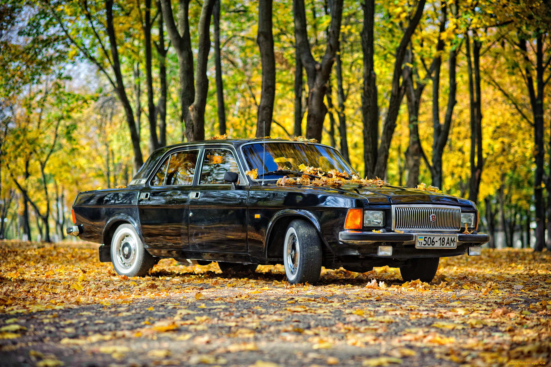 газ-, 3102, волга, автомобили, газ, волга, газ-, 3102, классика, автомобиль, седан, осень, чёрный