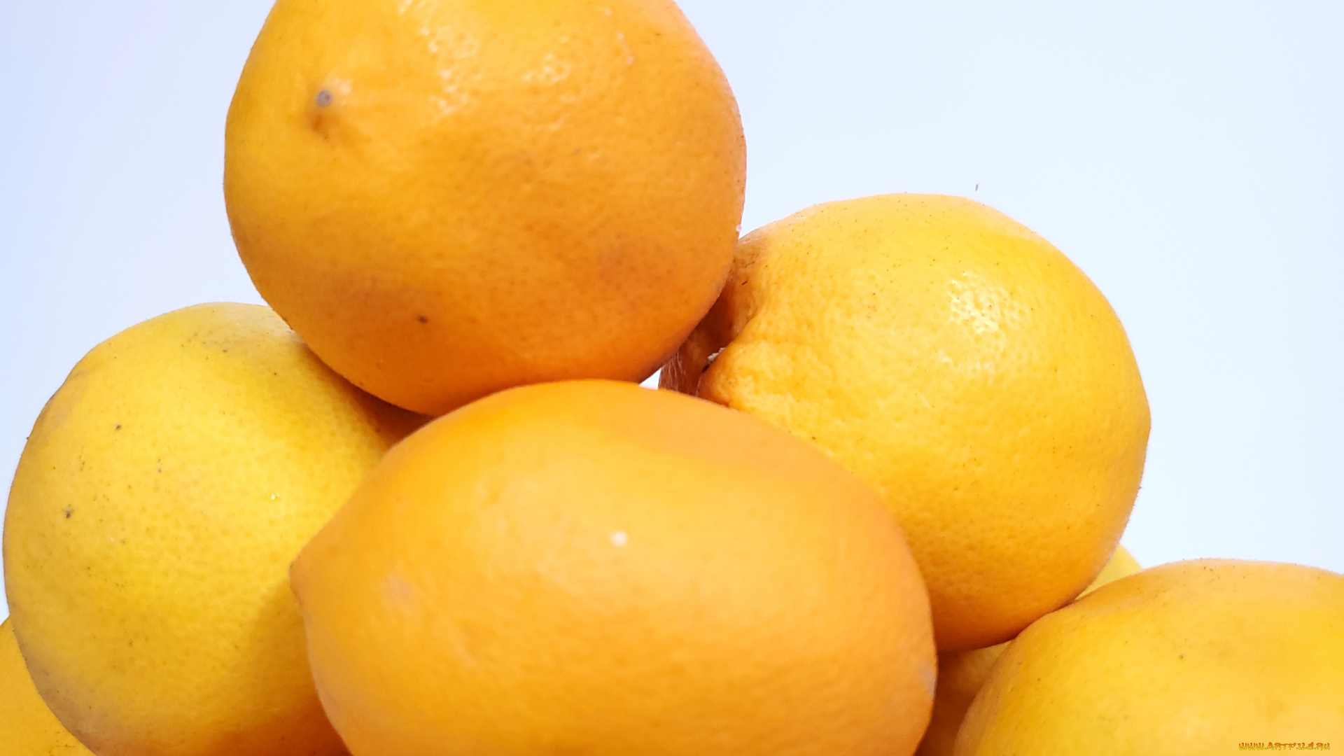 еда, цитрусы, лимоны