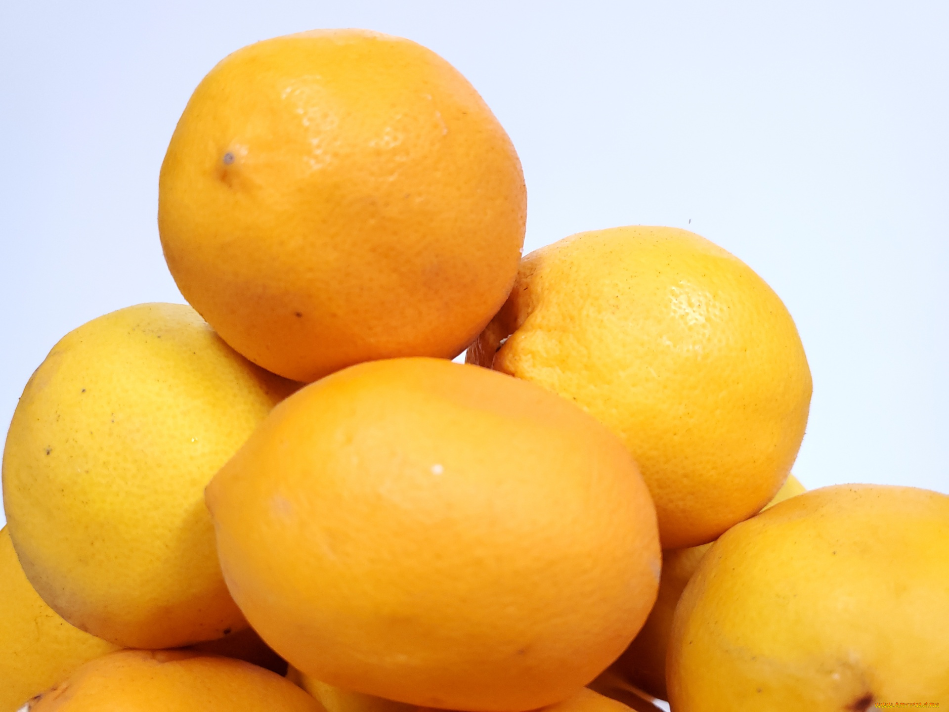 еда, цитрусы, лимоны