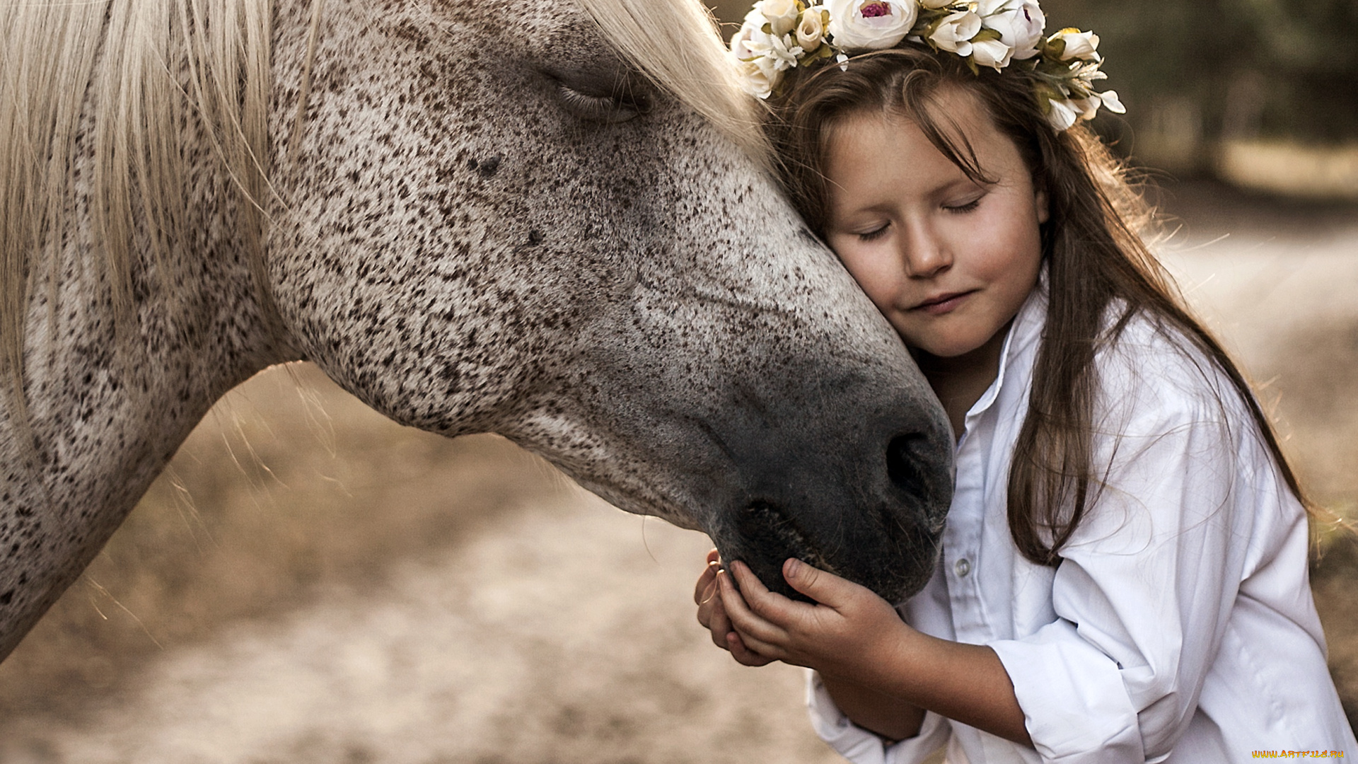 разное, дети, девочка, венок, лошадь
