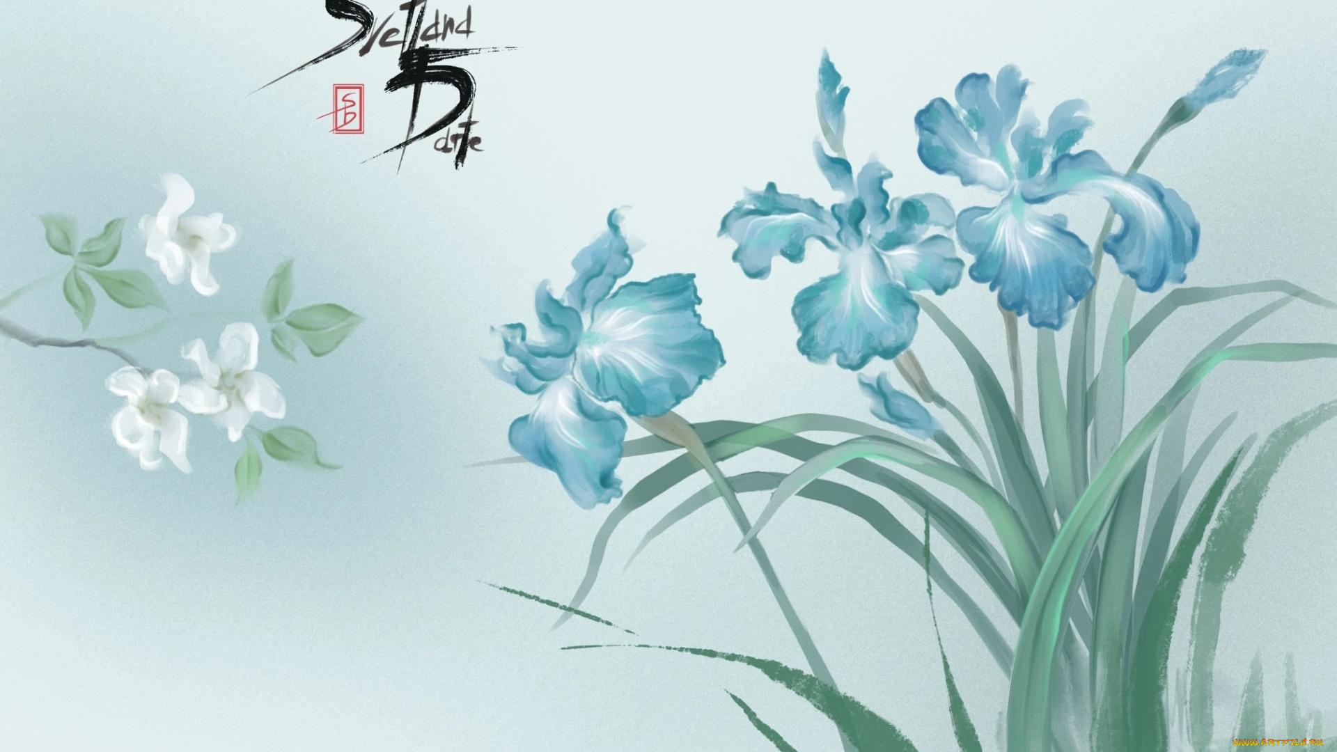 рисованное, цветы, ирисы