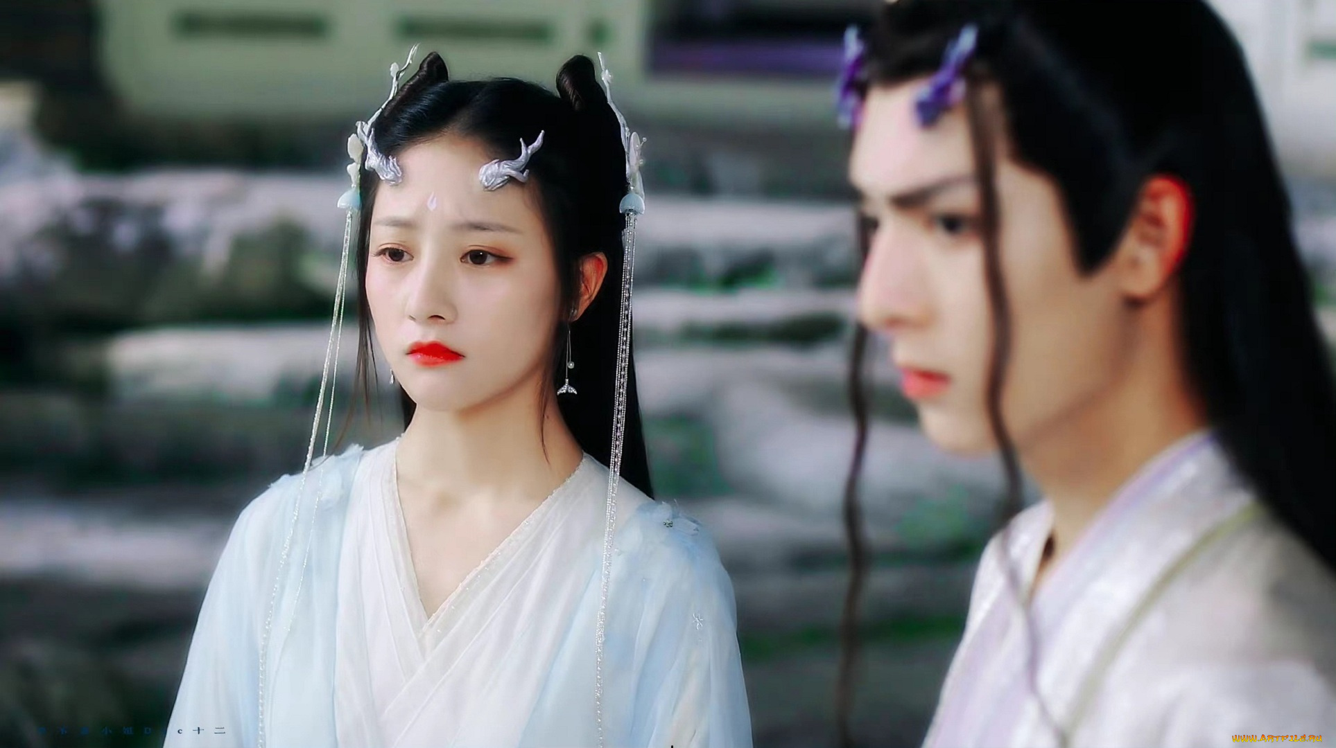 кино, фильмы, immortal, samsara, вечная, сансара, щепки, агарового, дерева