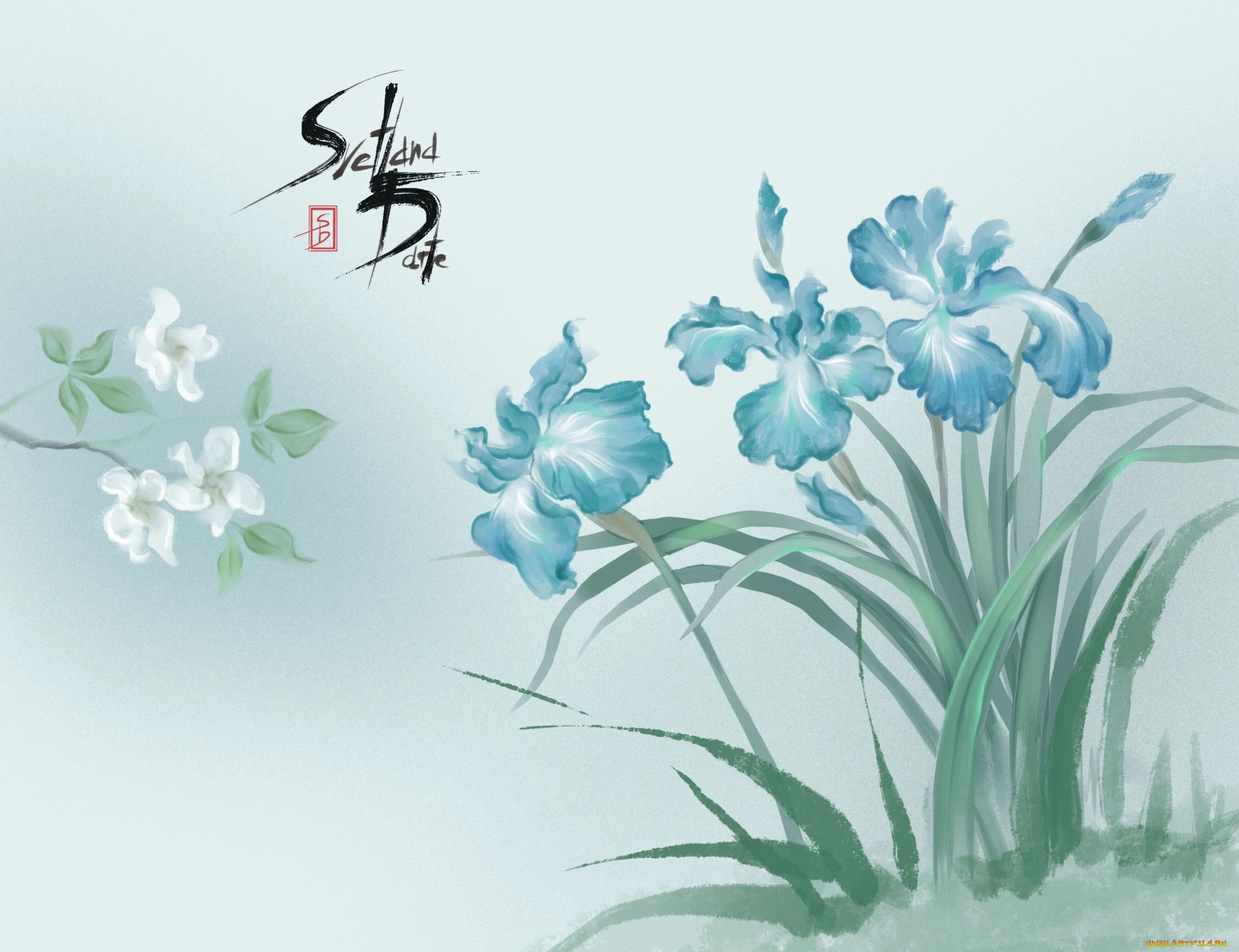 рисованное, цветы, ирисы