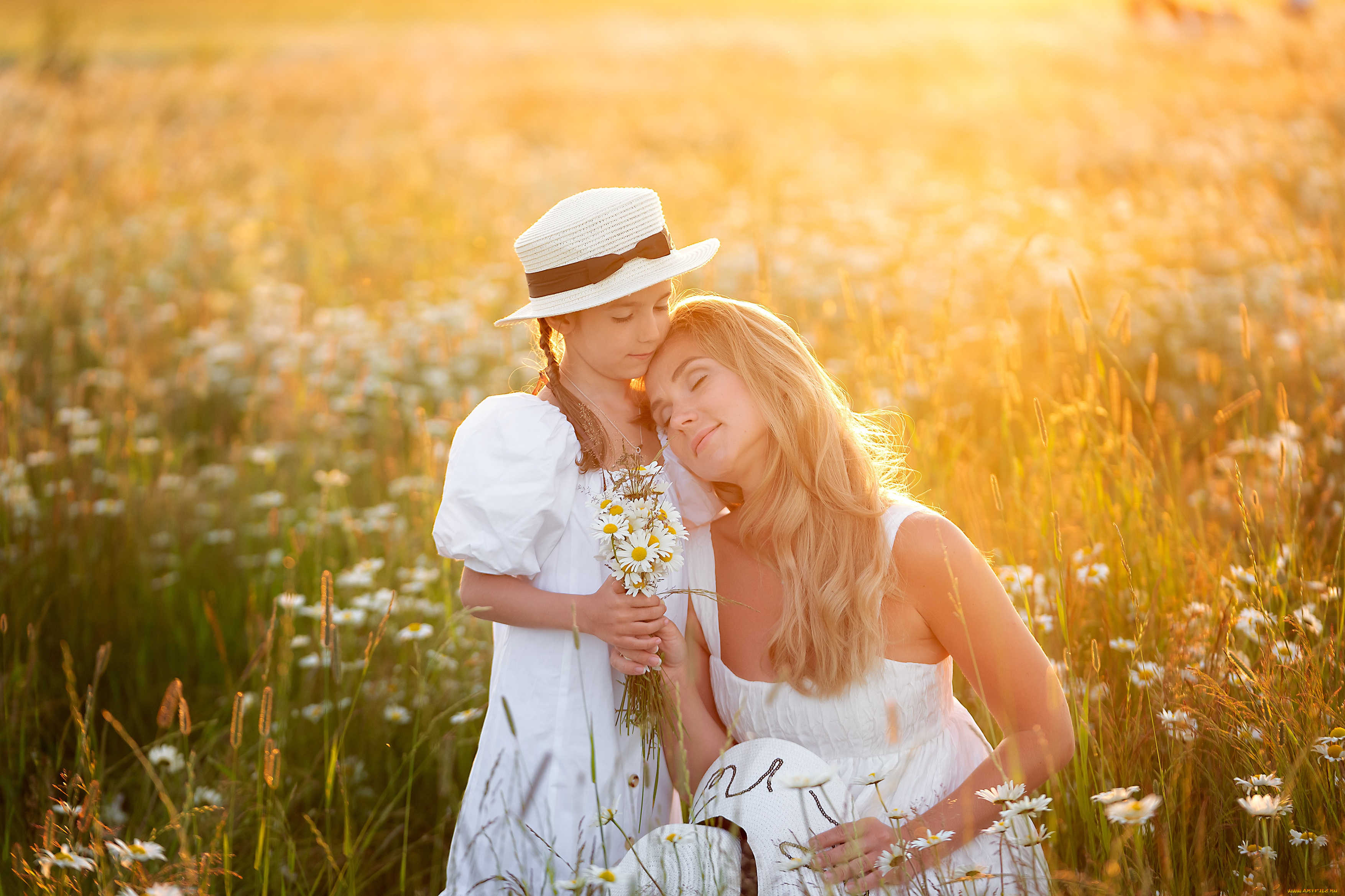 разное, люди, дочь, мать, поле, ромашки