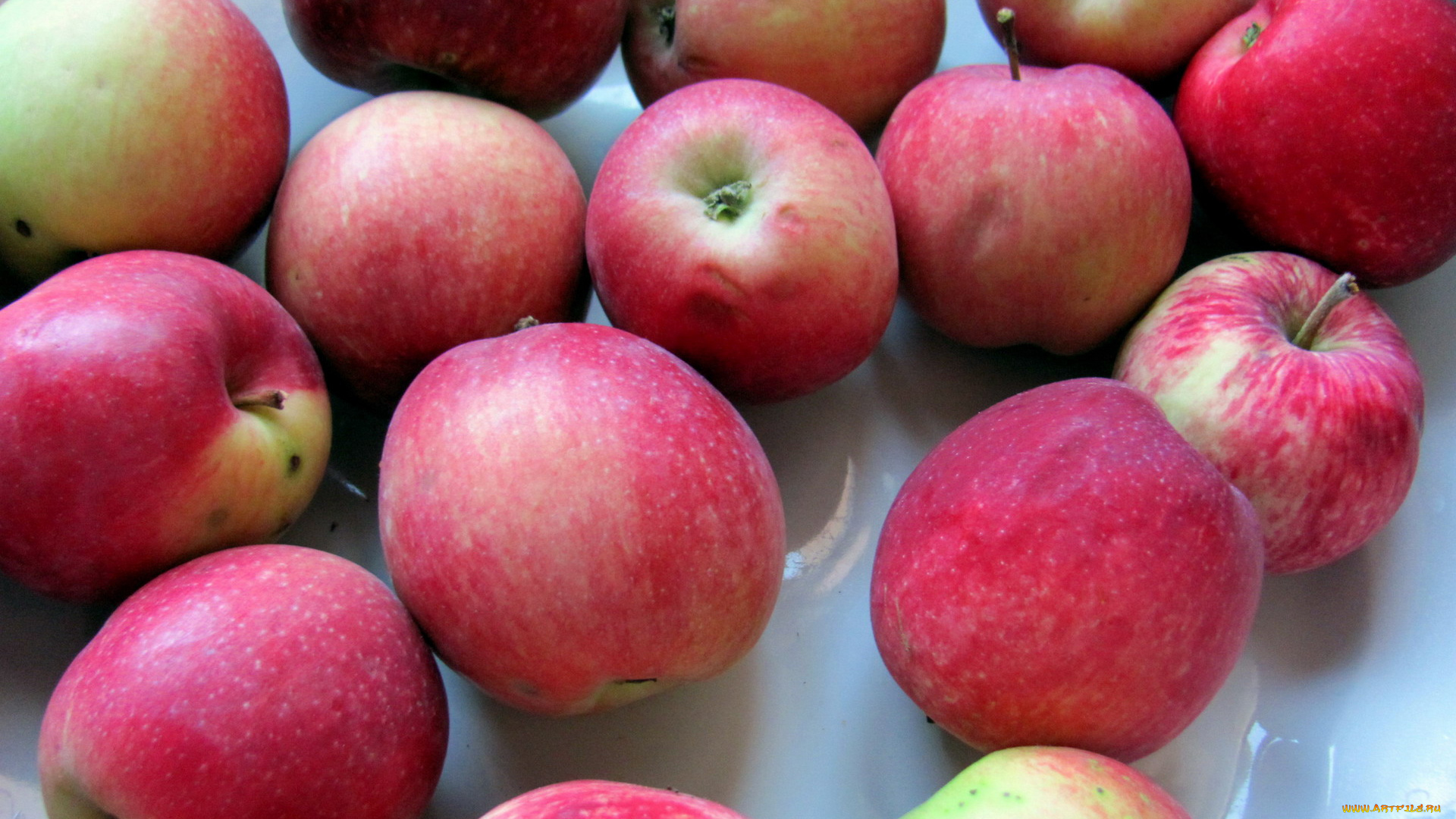 еда, яблоки, краснобокие, фрукты