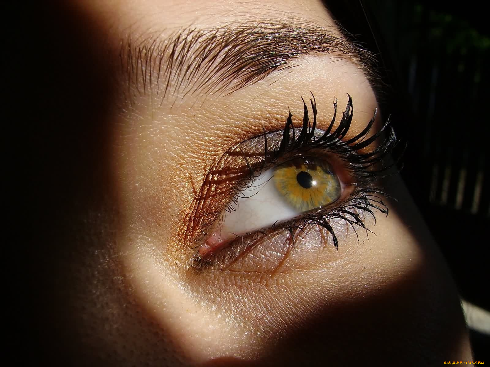 разное, глаза