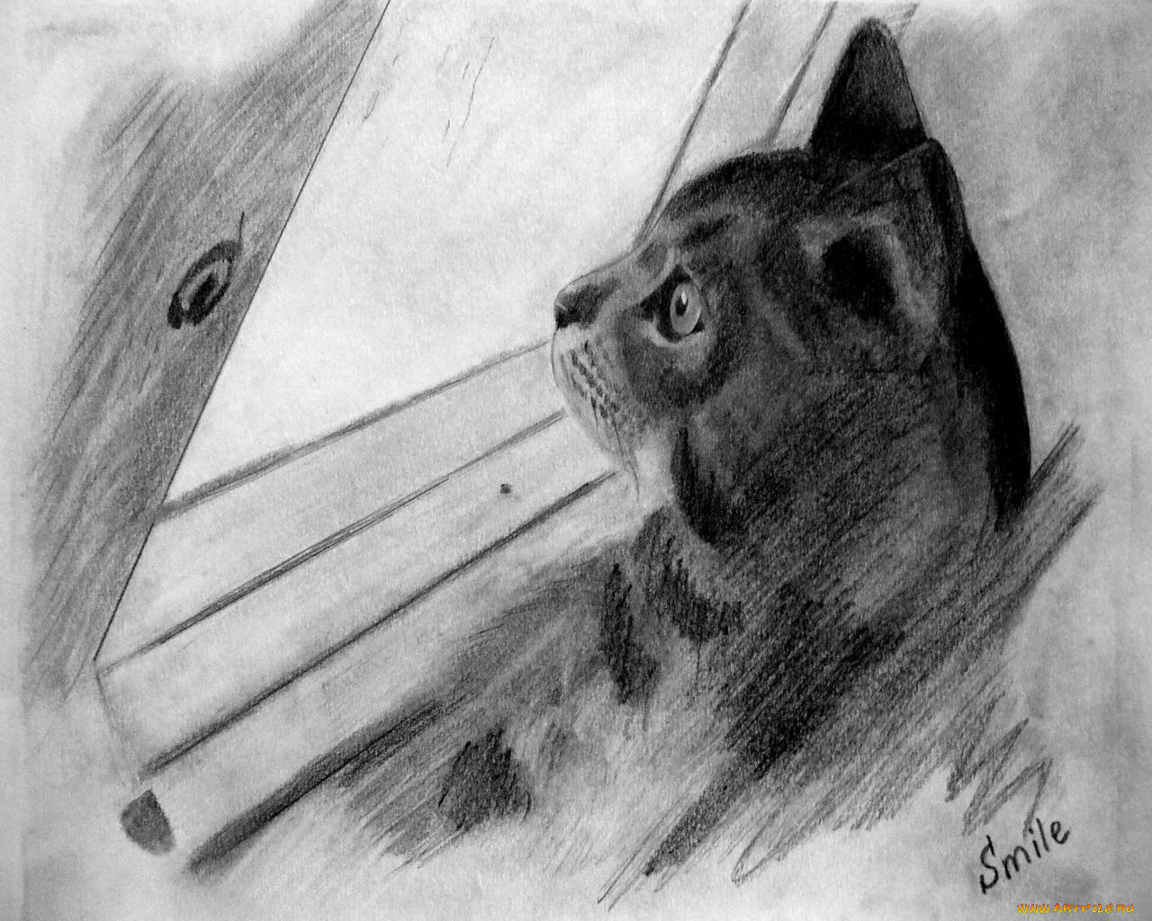 рисованные, животные